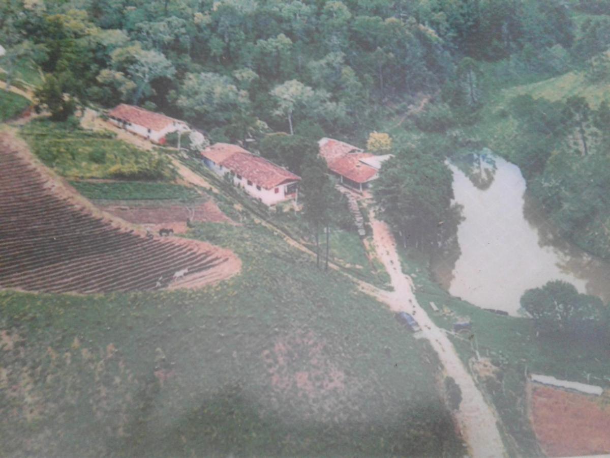Vovo Bebel