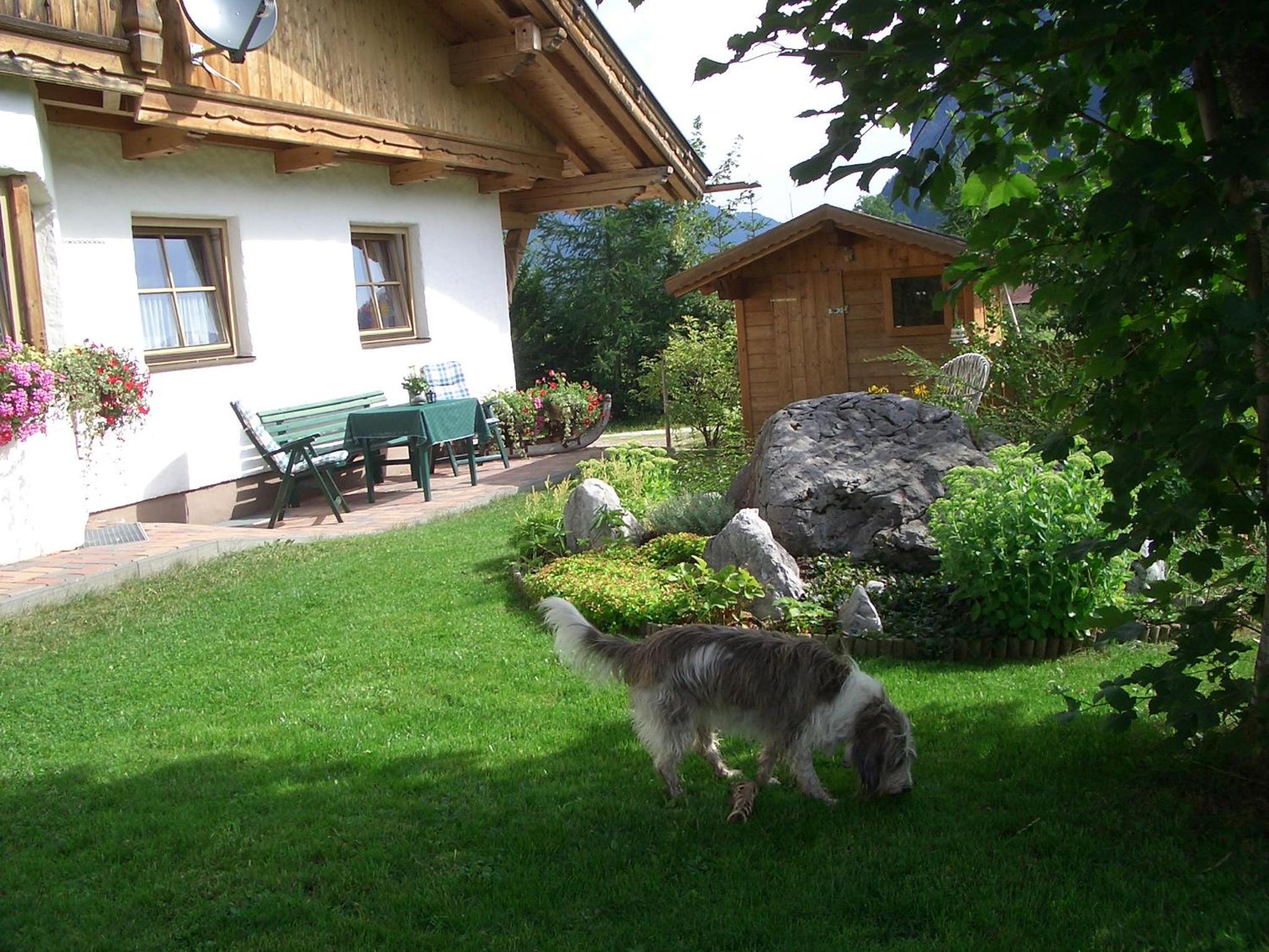 Photo 14