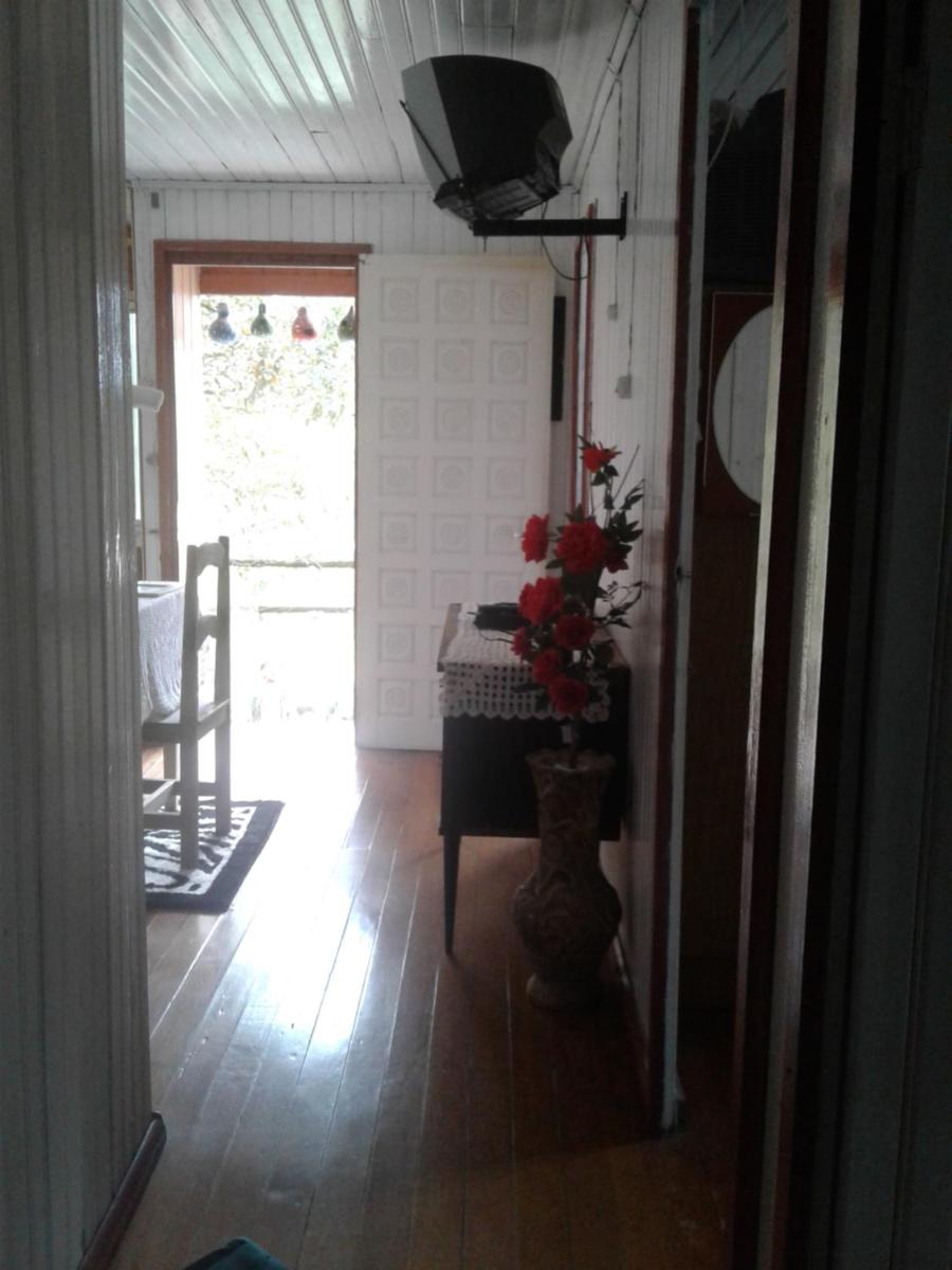 Vovo Bebel