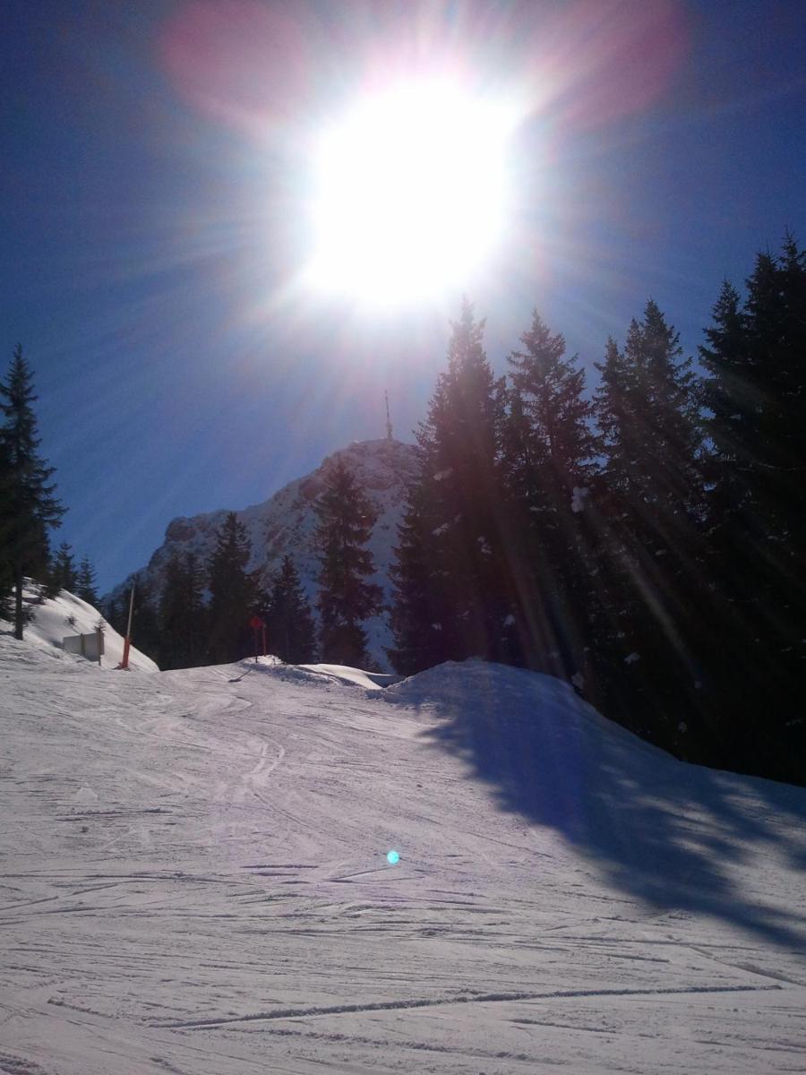 Pension Alpenrose