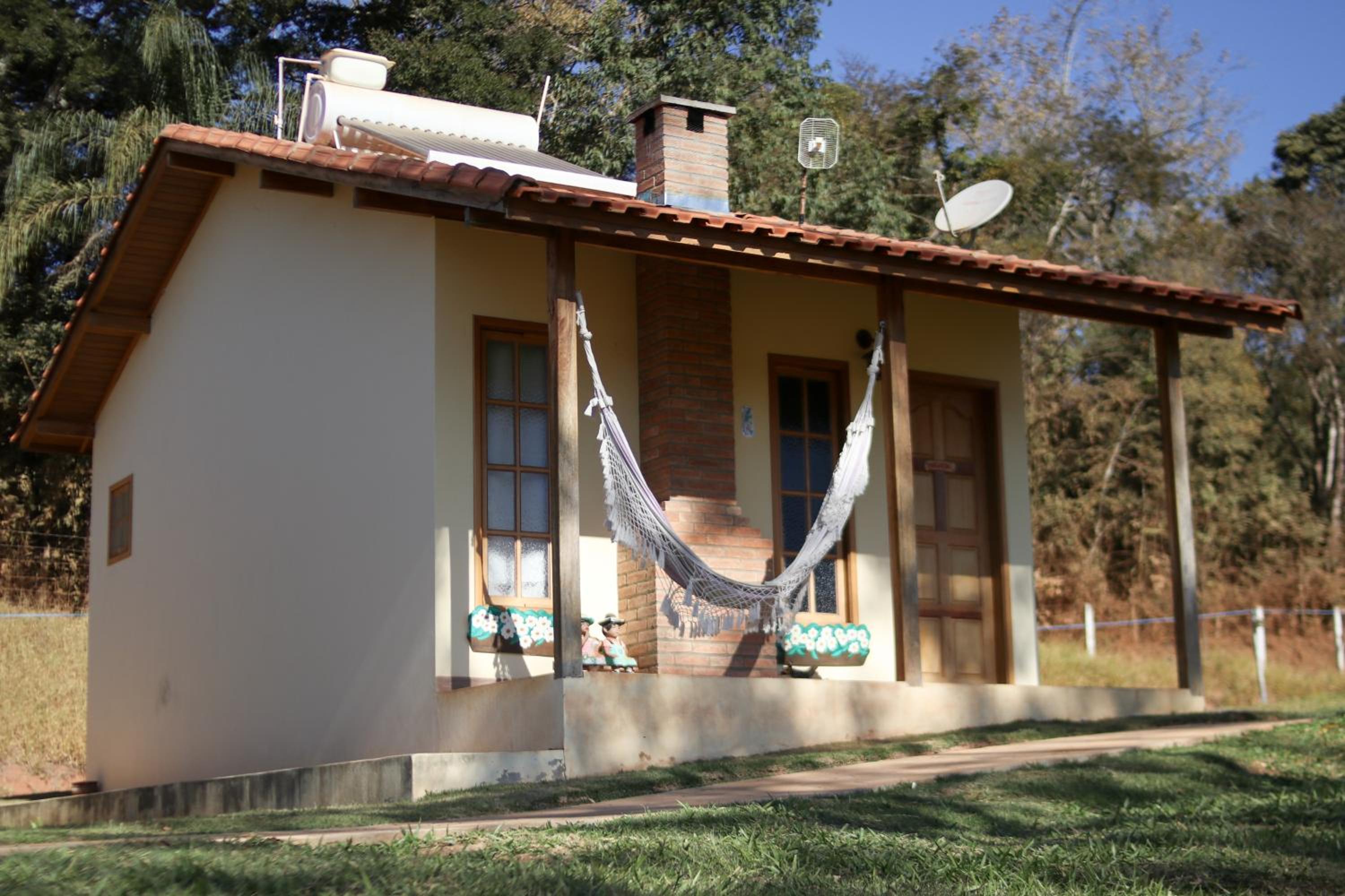 Photo 46