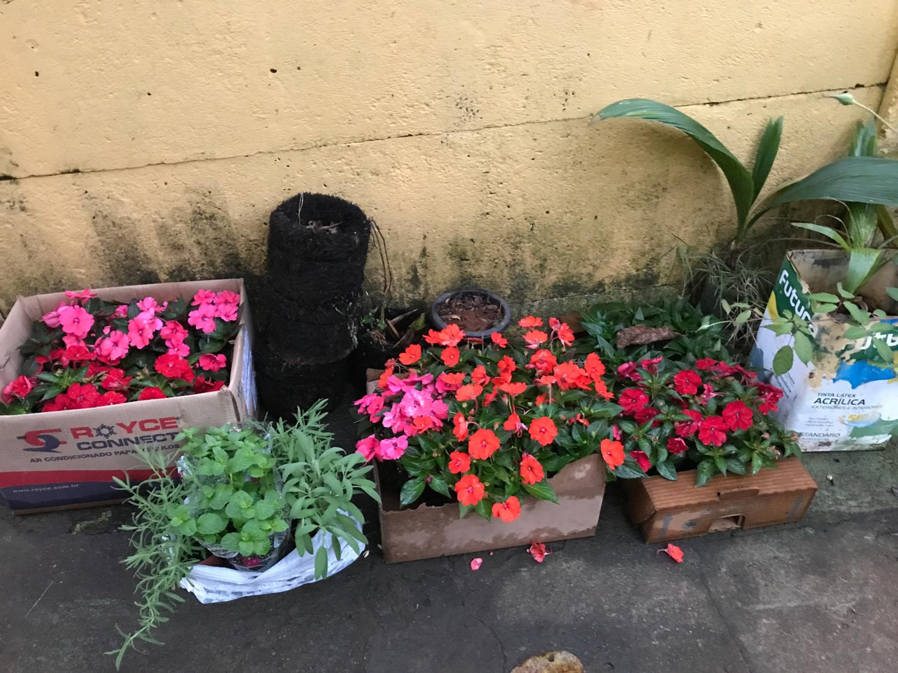 Photo 19