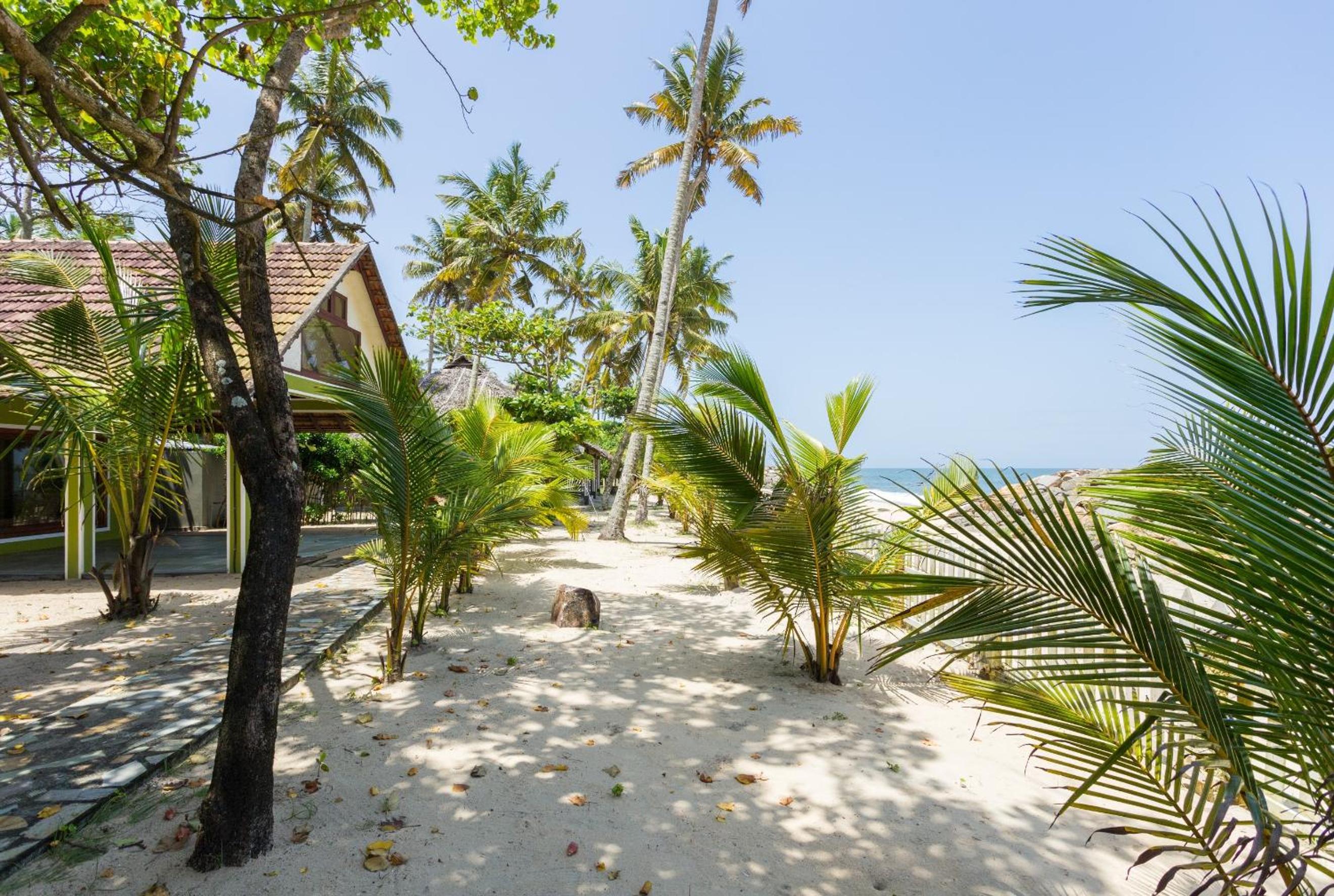 Azure Tides Marari