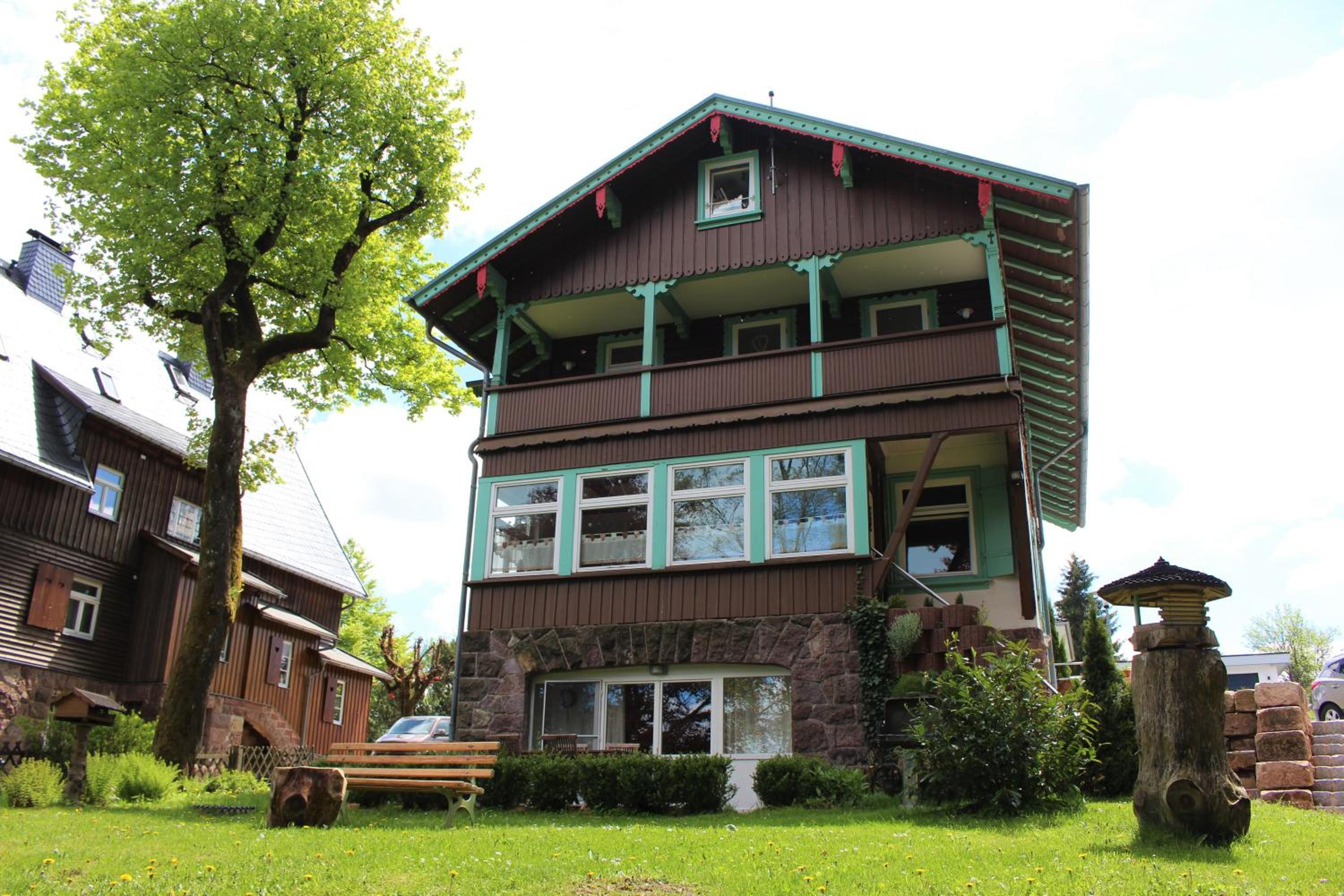 Photo 11