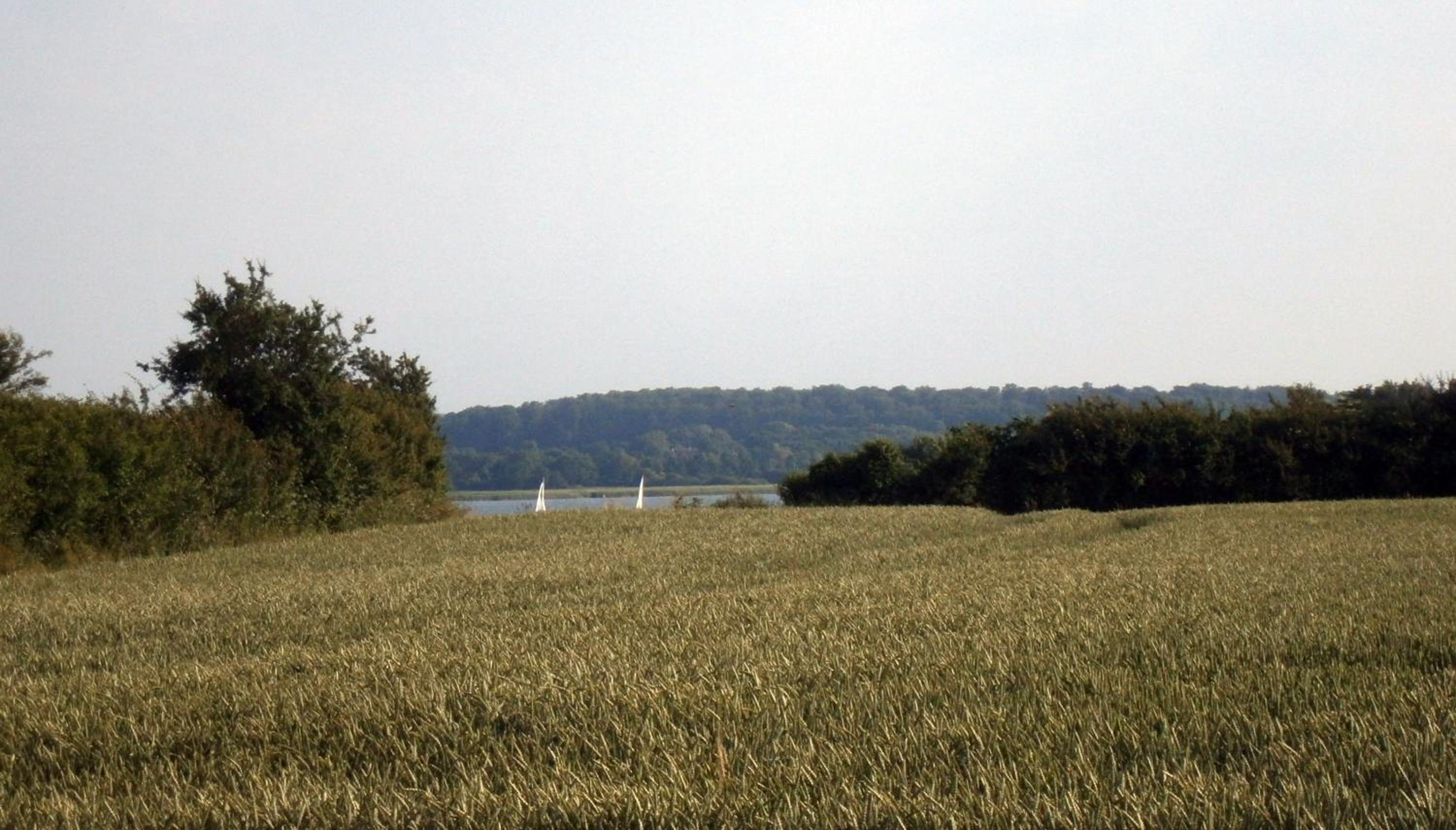 Lindhus Grödersby