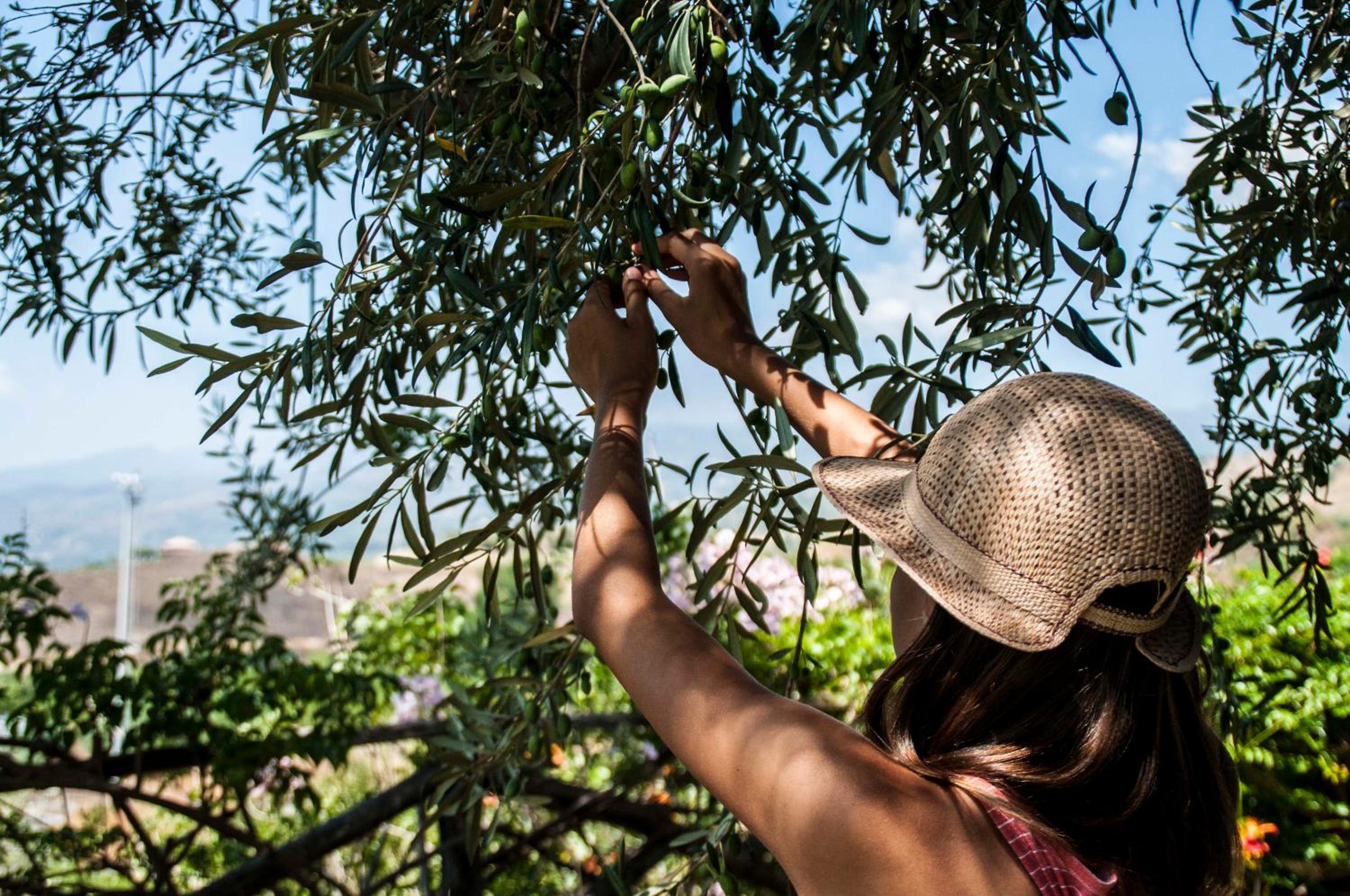 Antico Borgo Etneo Country Hotel