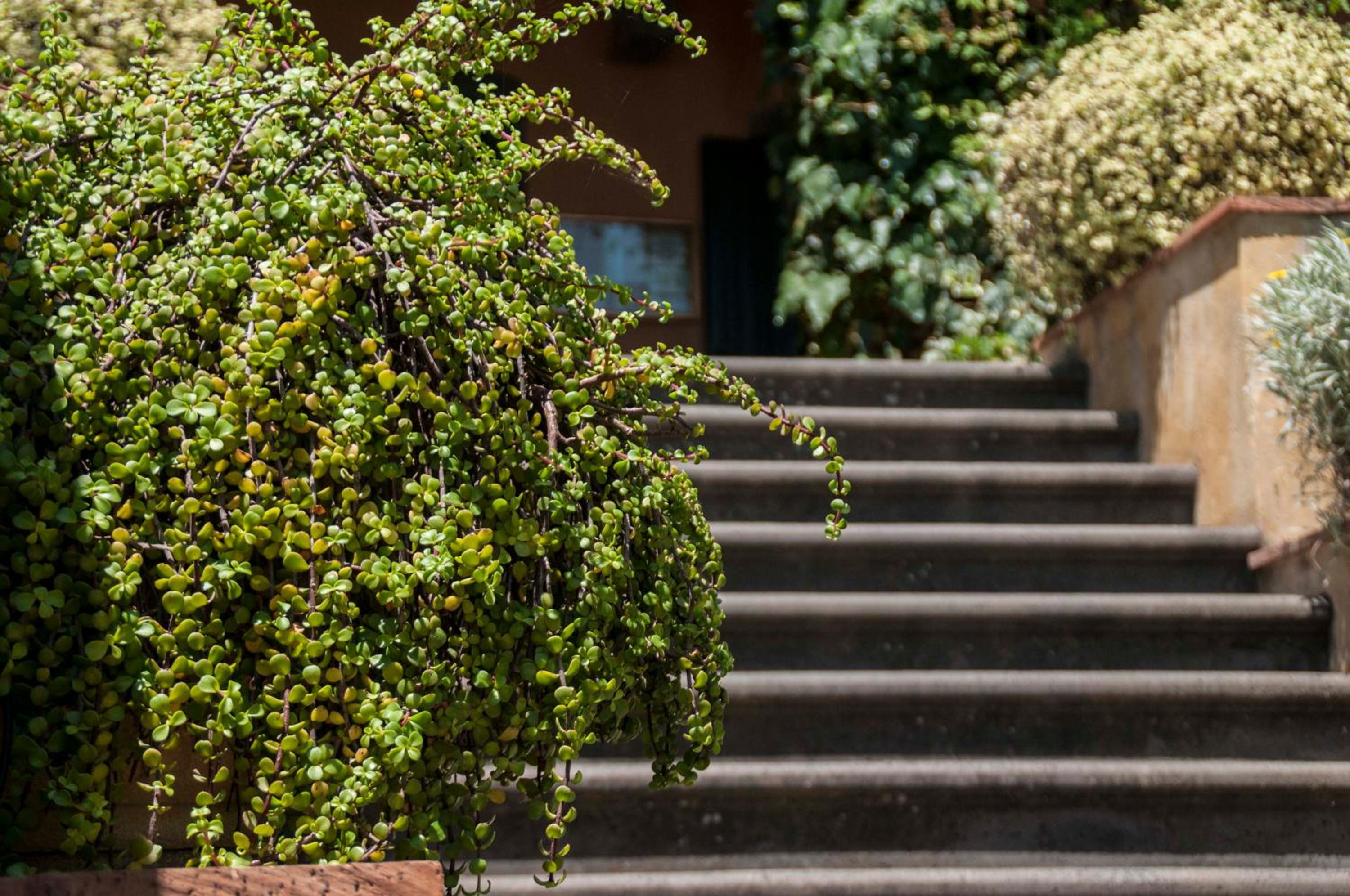 Antico Borgo Etneo Country Hotel