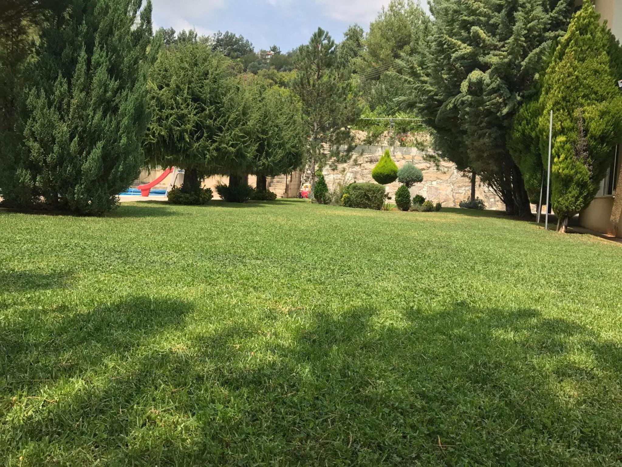 Photo 36