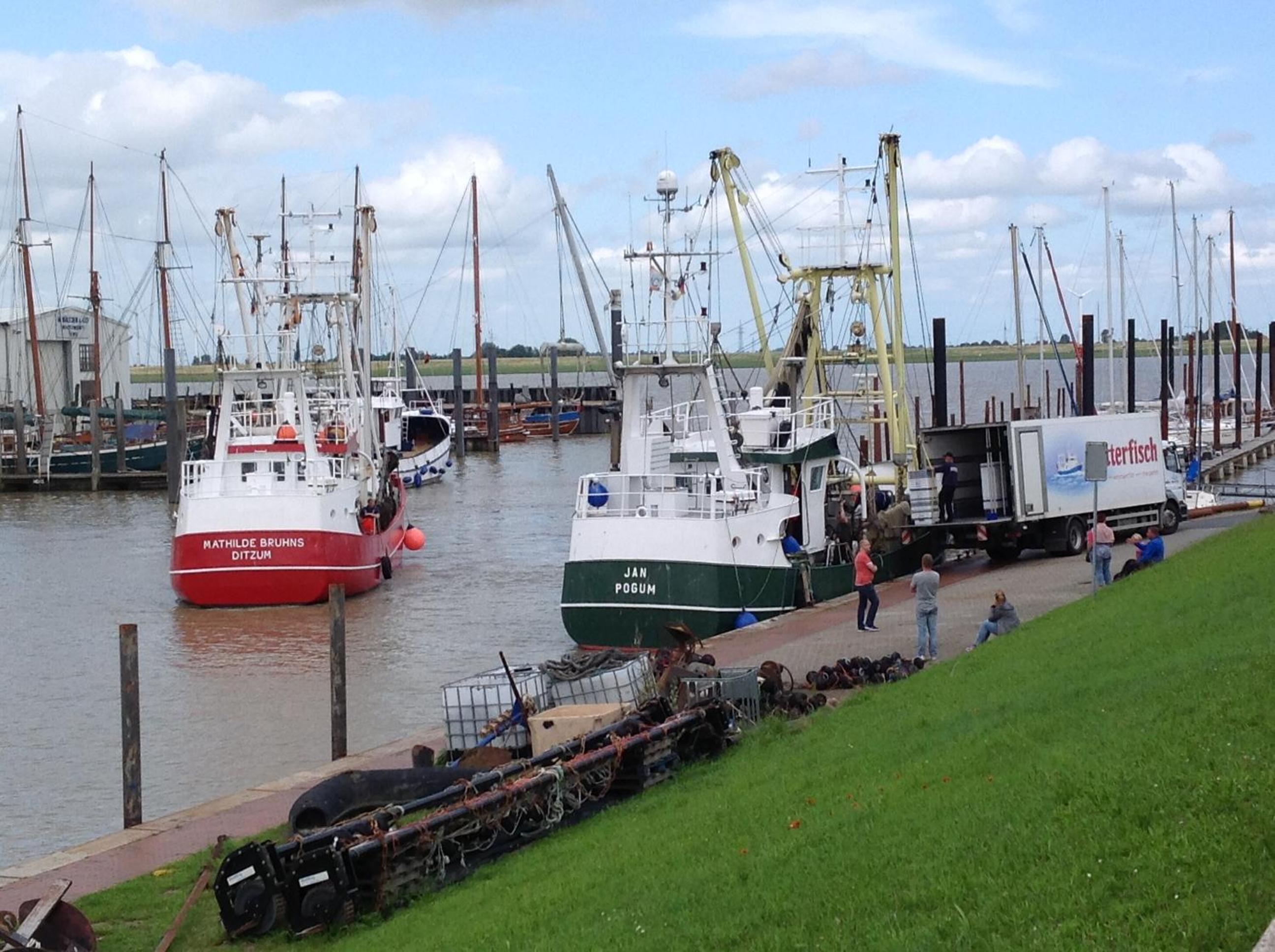Vier Sterne am Hafen, Ditzum
