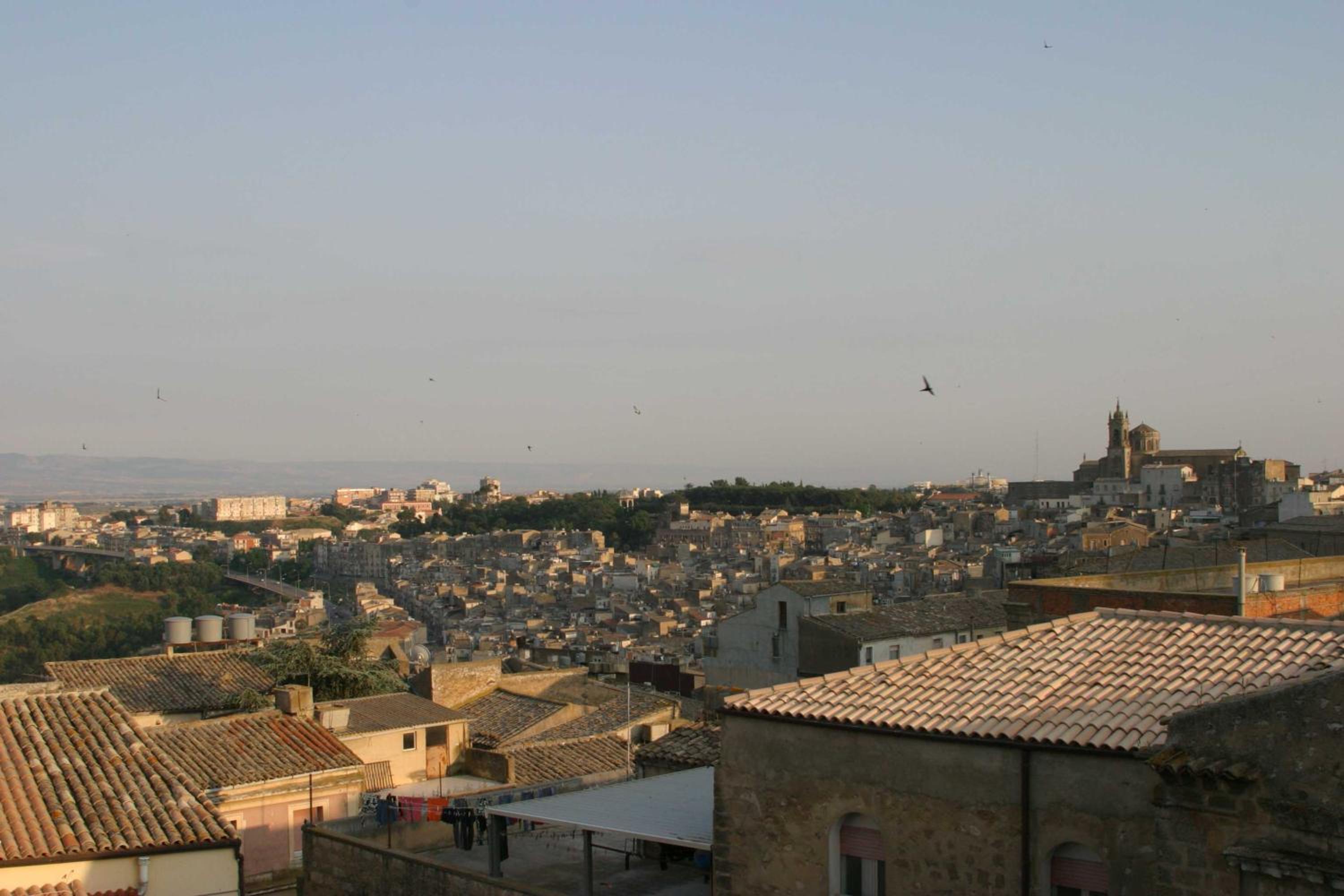 Photo 44