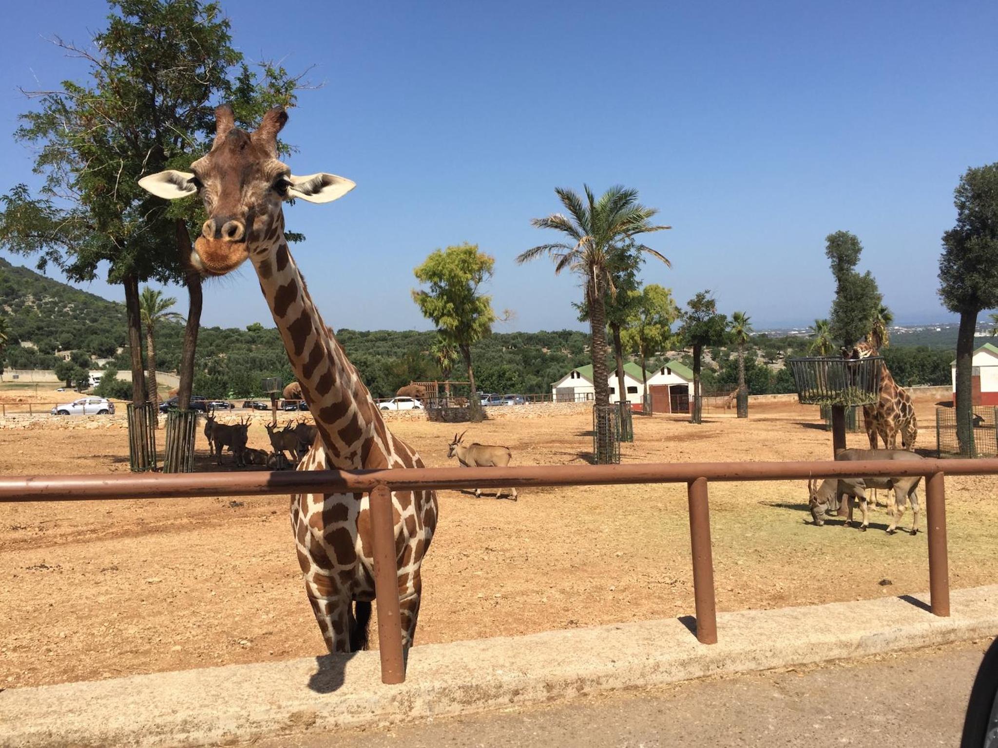 Photo 63