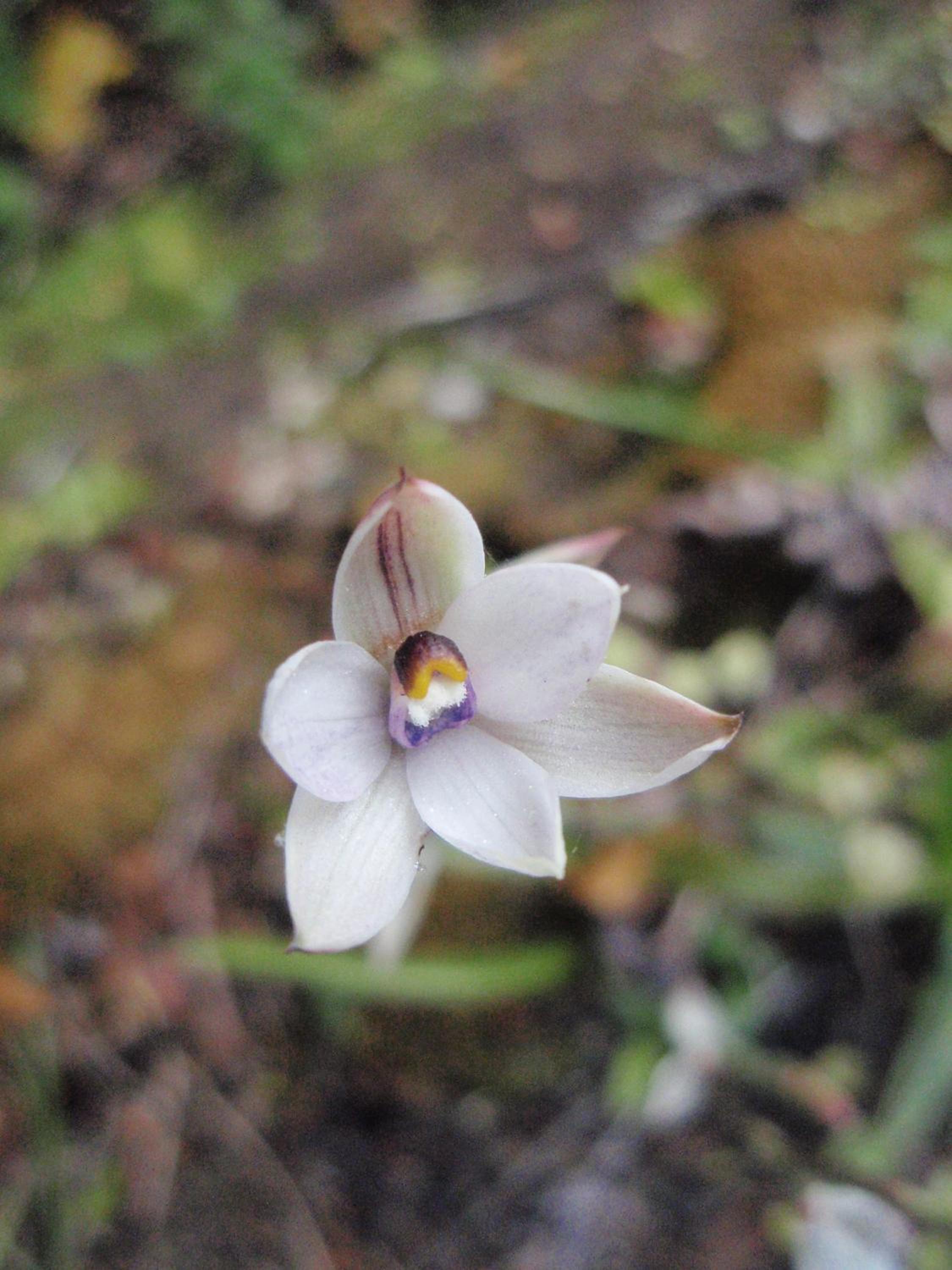 Photo 45