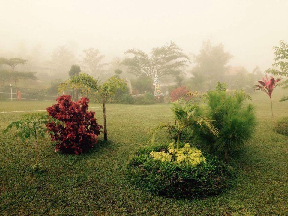 Thanorm Rak Resort