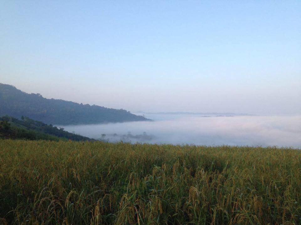 Thanorm Rak Resort