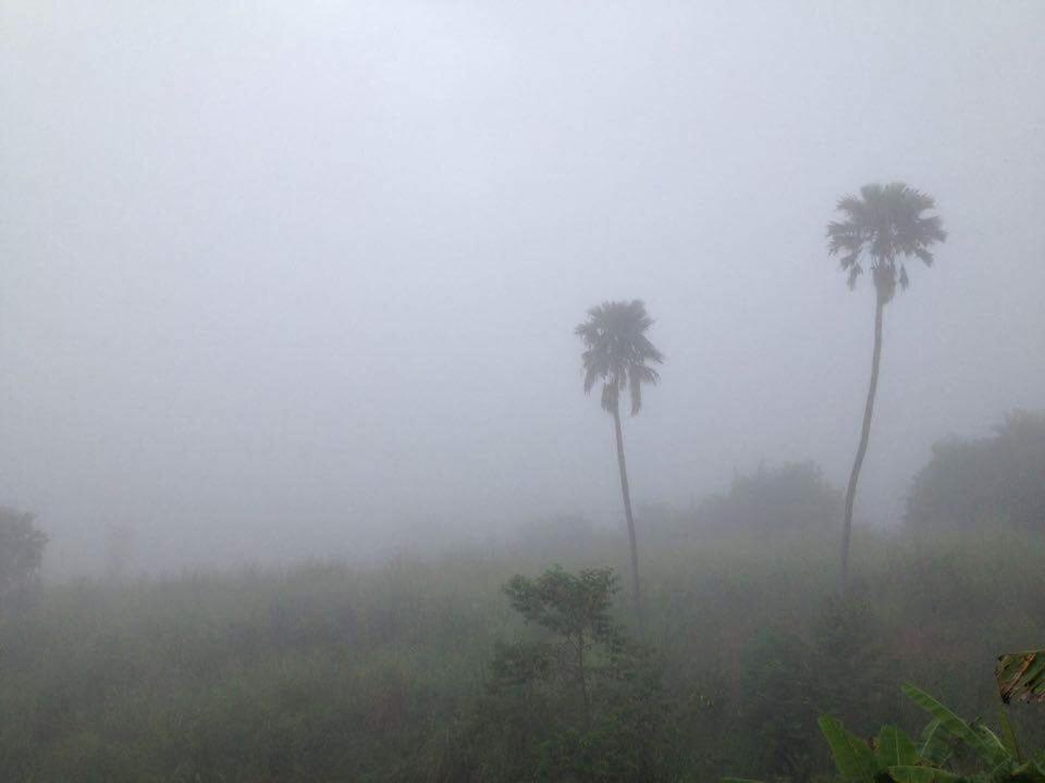Thanorm Rak Resort