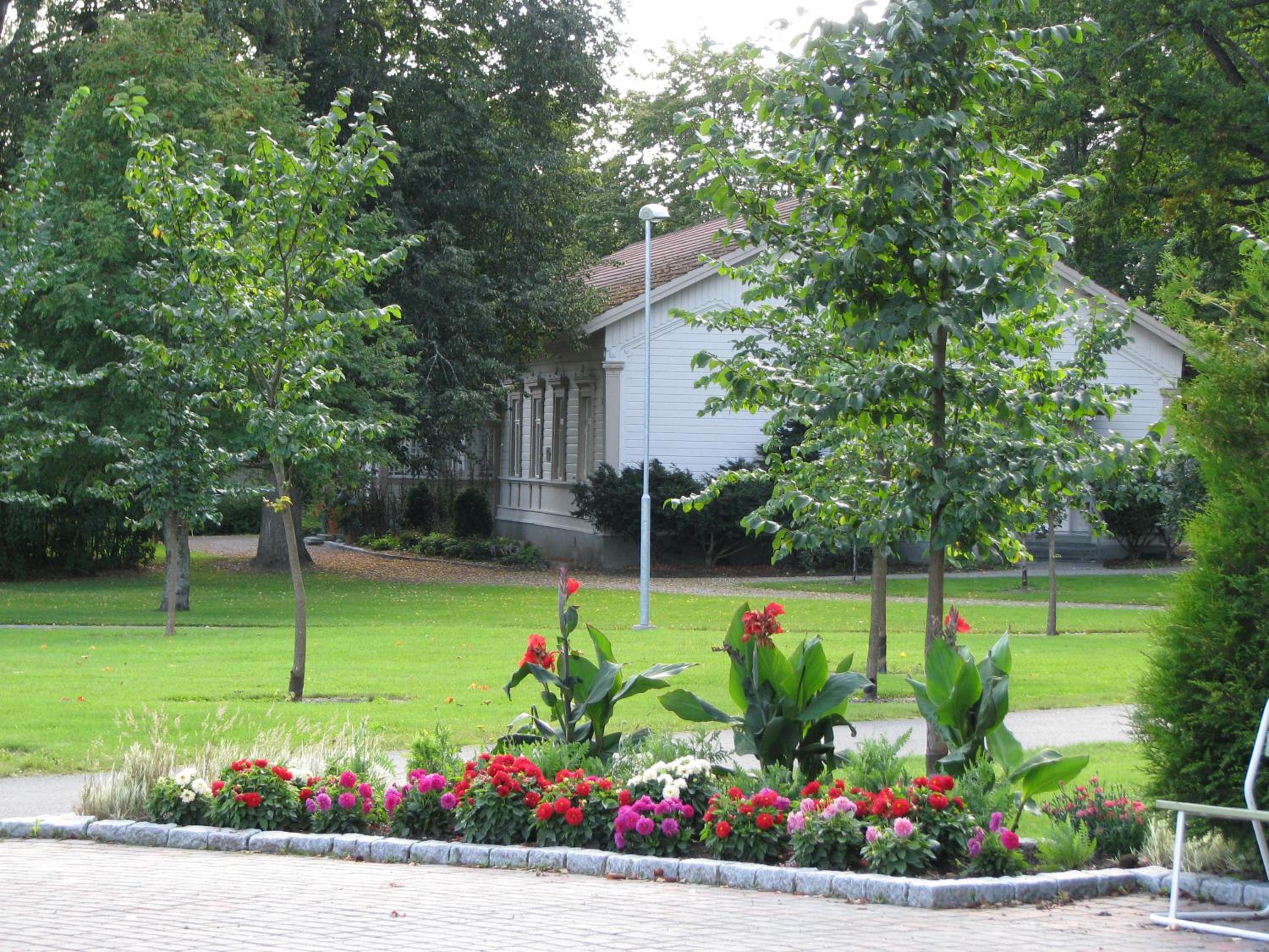 Photo 16