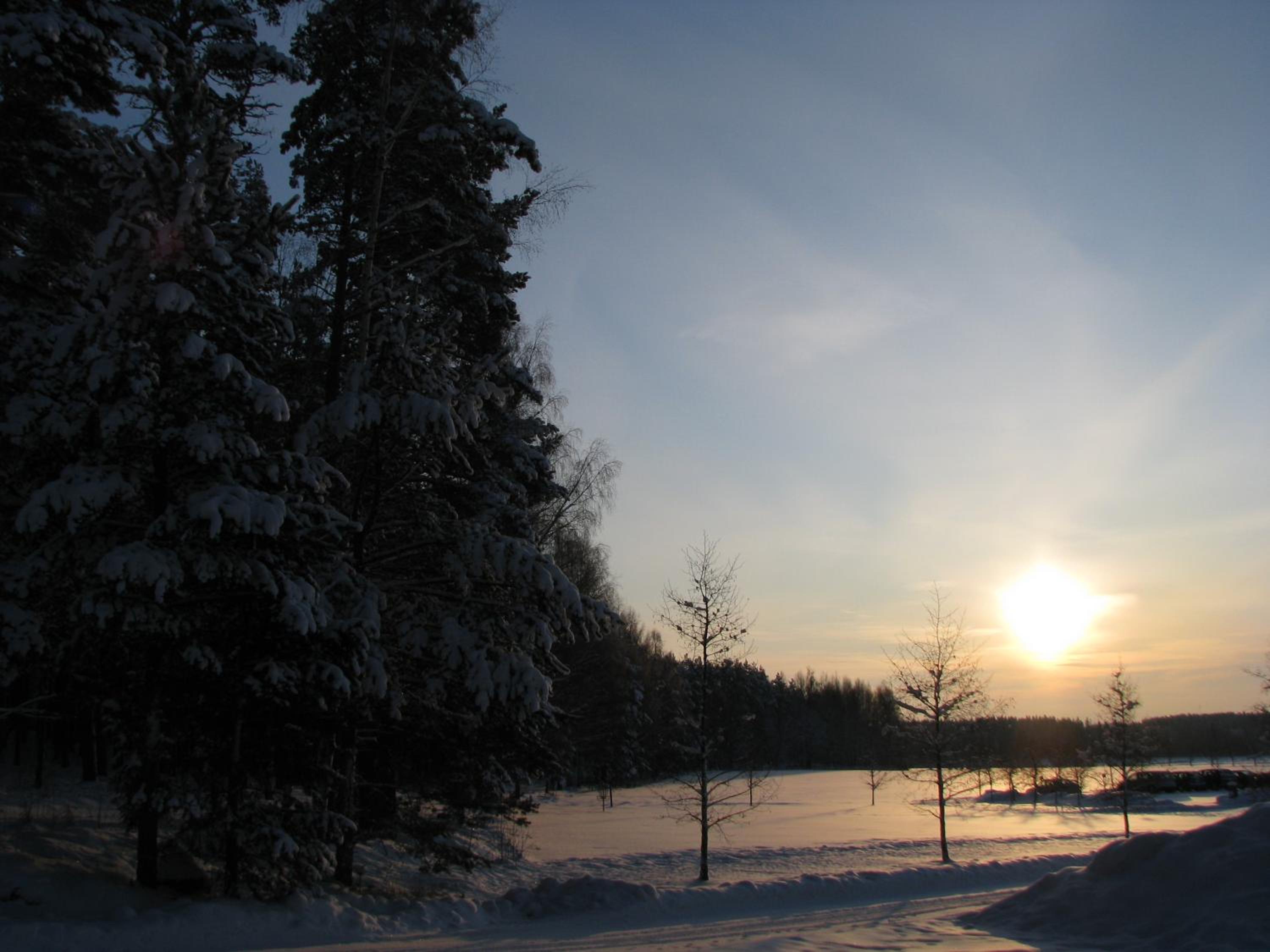 Photo 32