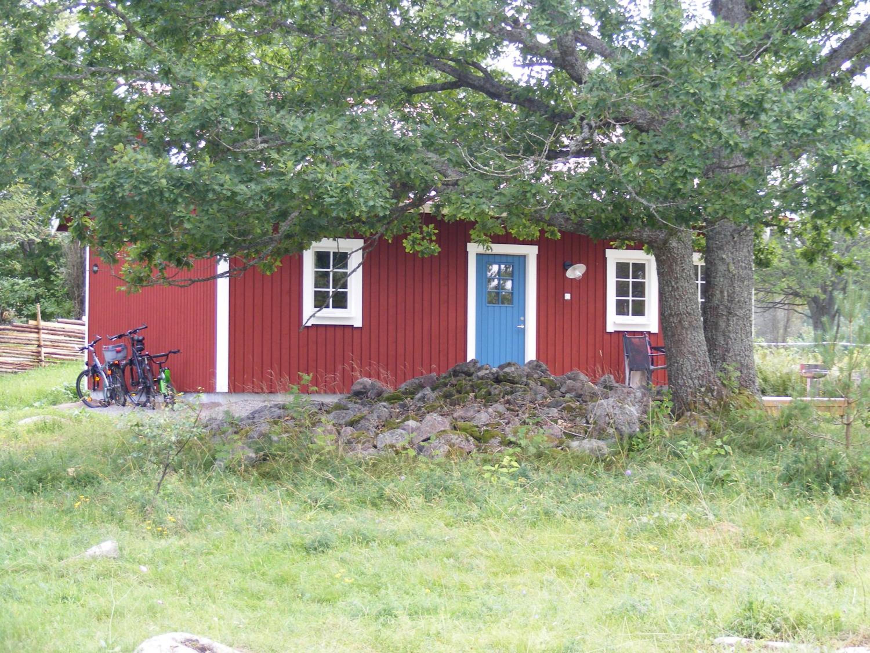 Photo 41