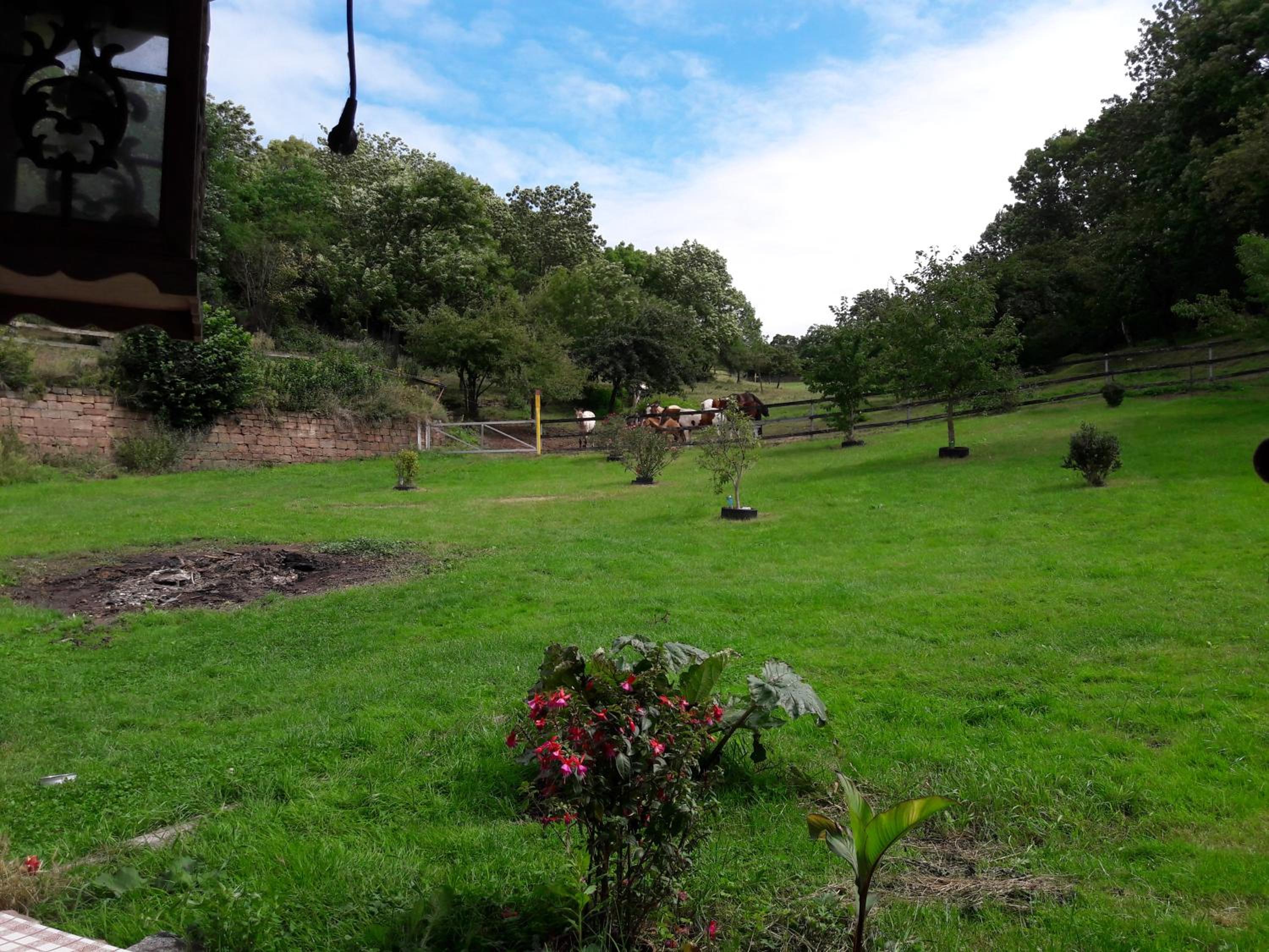 Photo 42