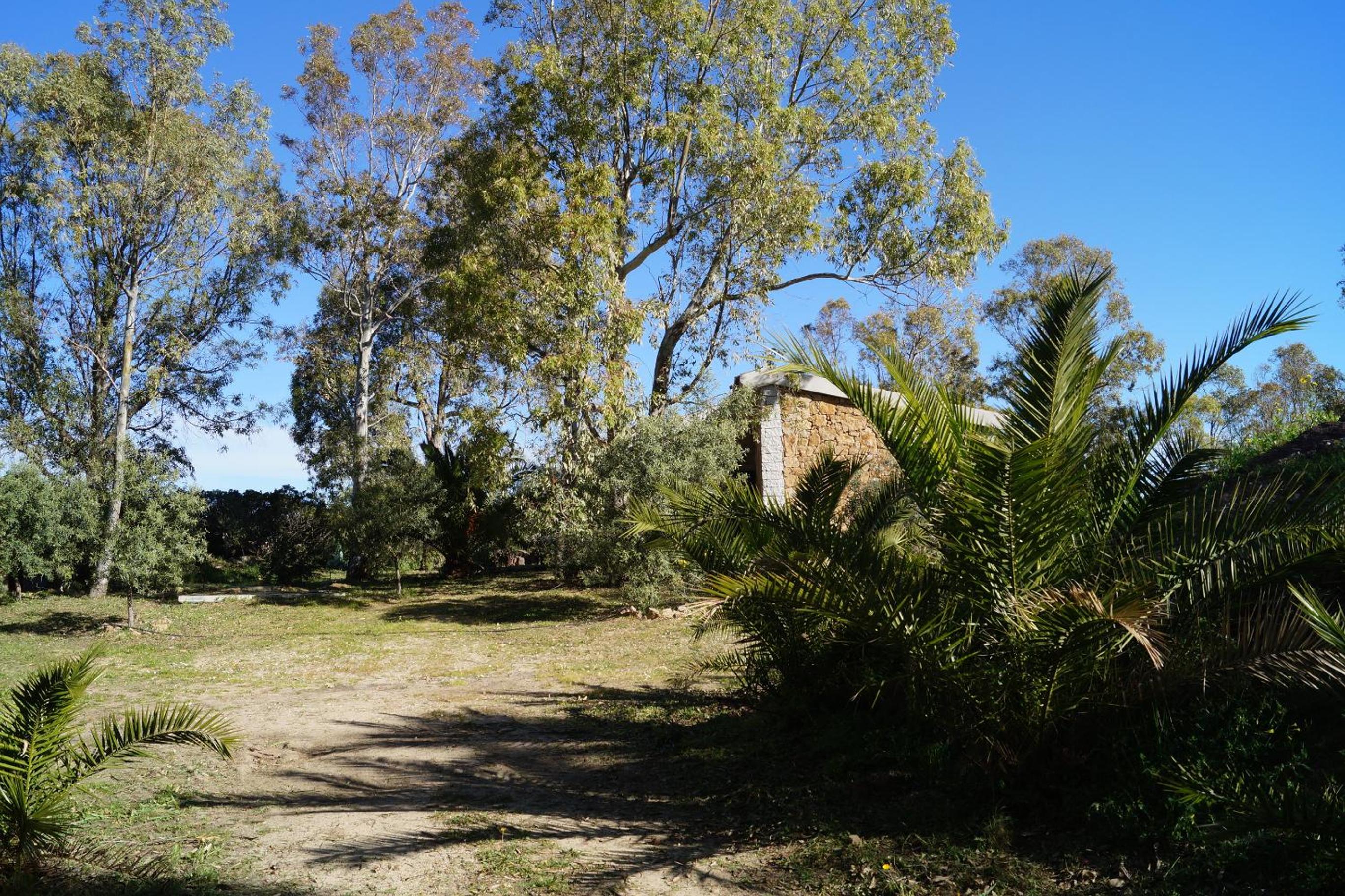 Photo 24