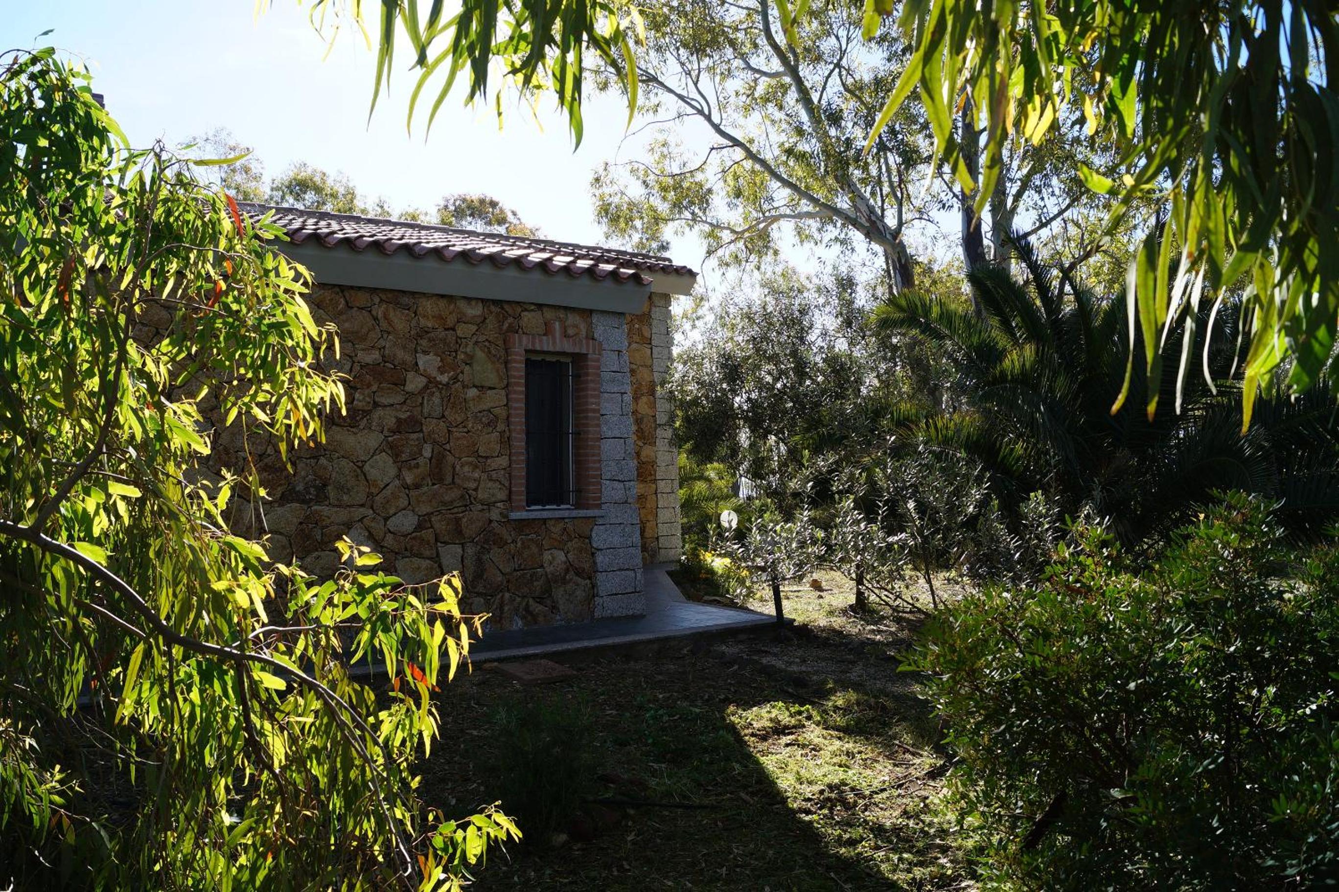 Photo 26