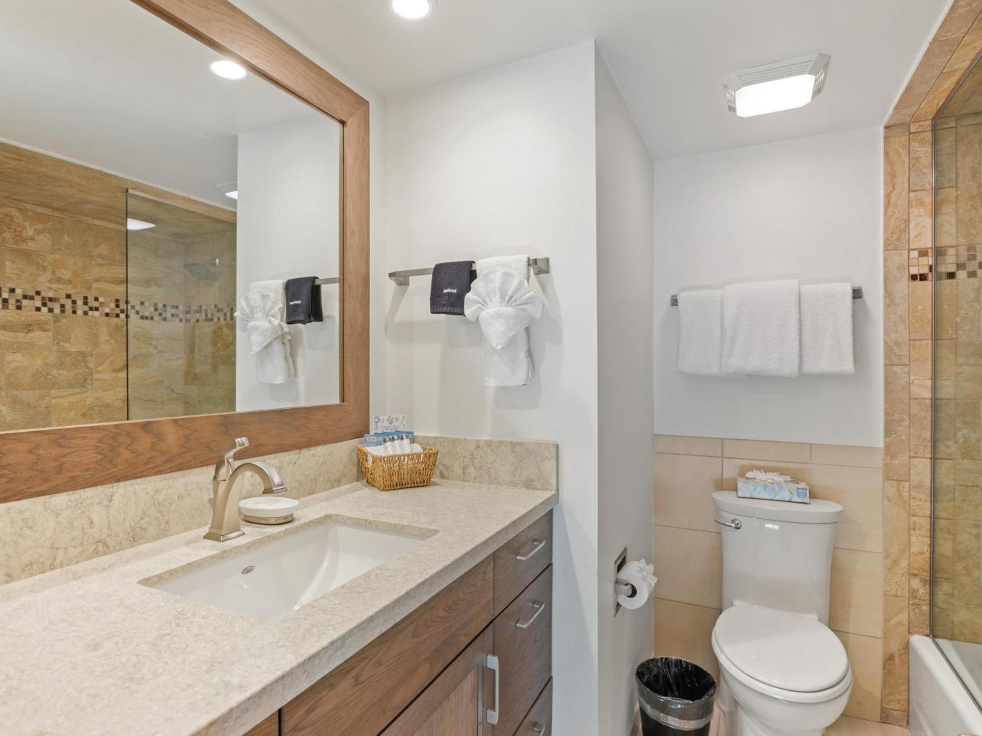 Lift One Condominiums - 1, 2, 3 Bedroom Units Adjacent To Downtown Aspen