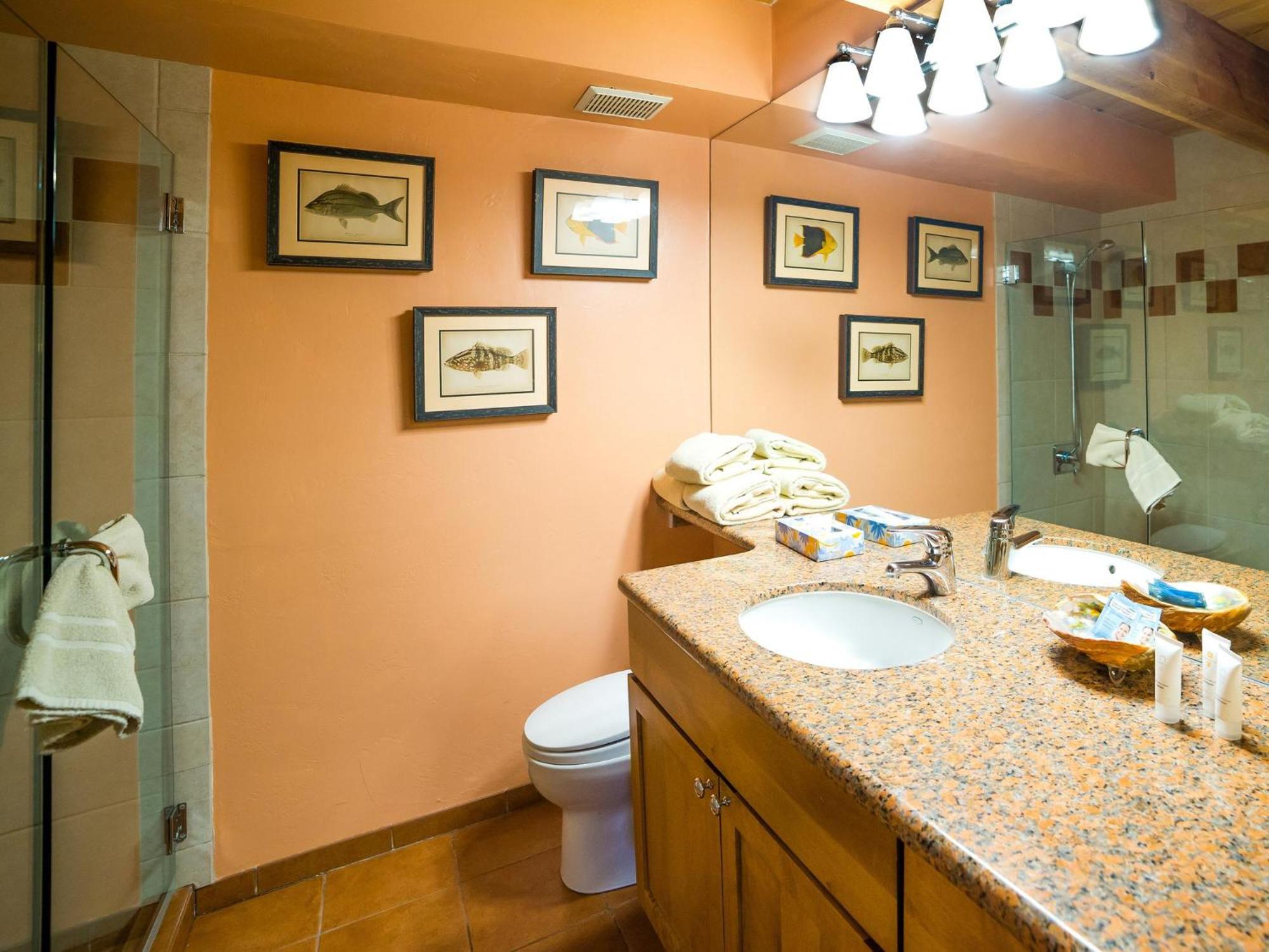 Lift One Condominiums - 1, 2, 3 Bedroom Units Adjacent To Downtown Aspen