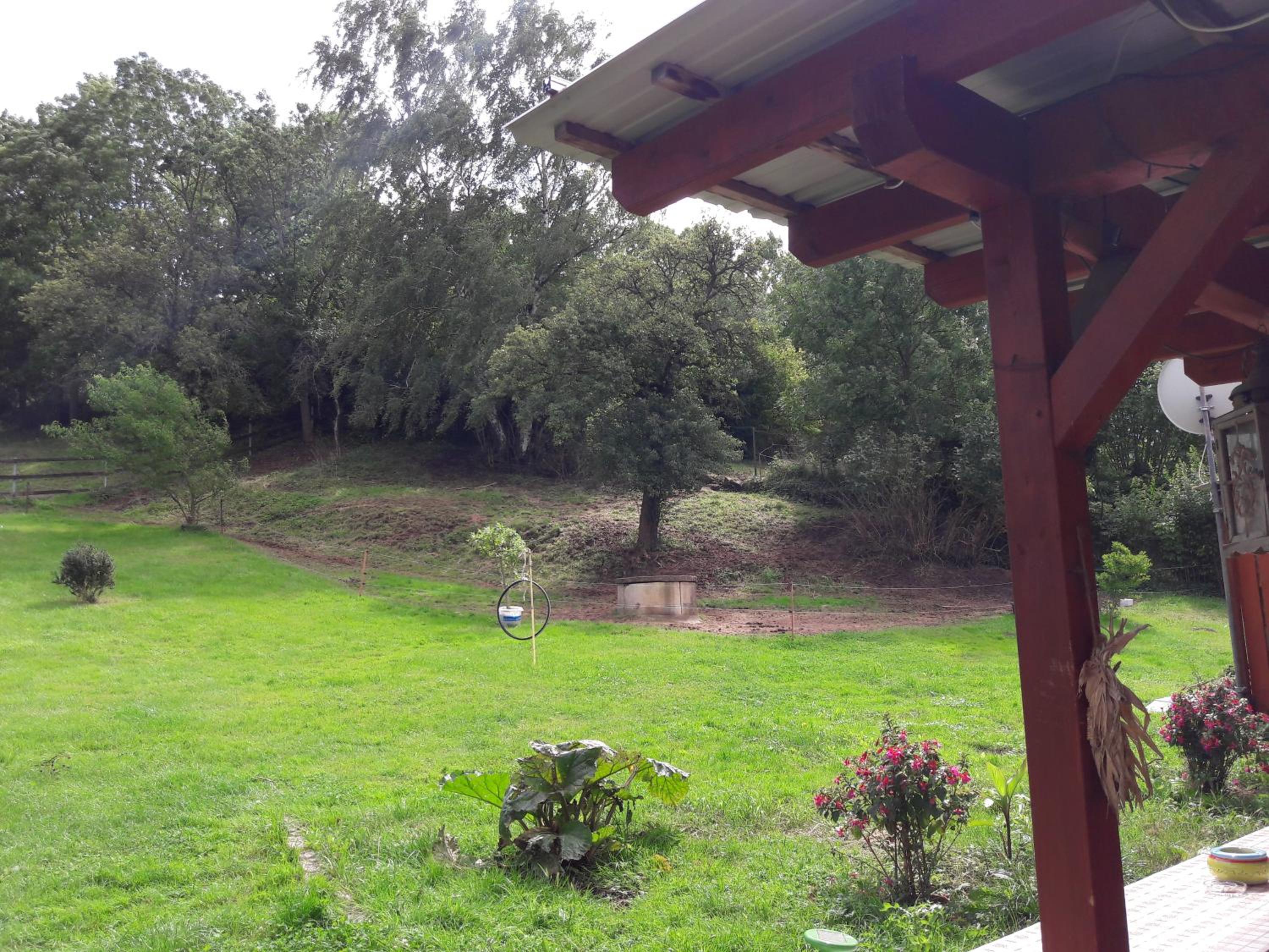 Photo 41