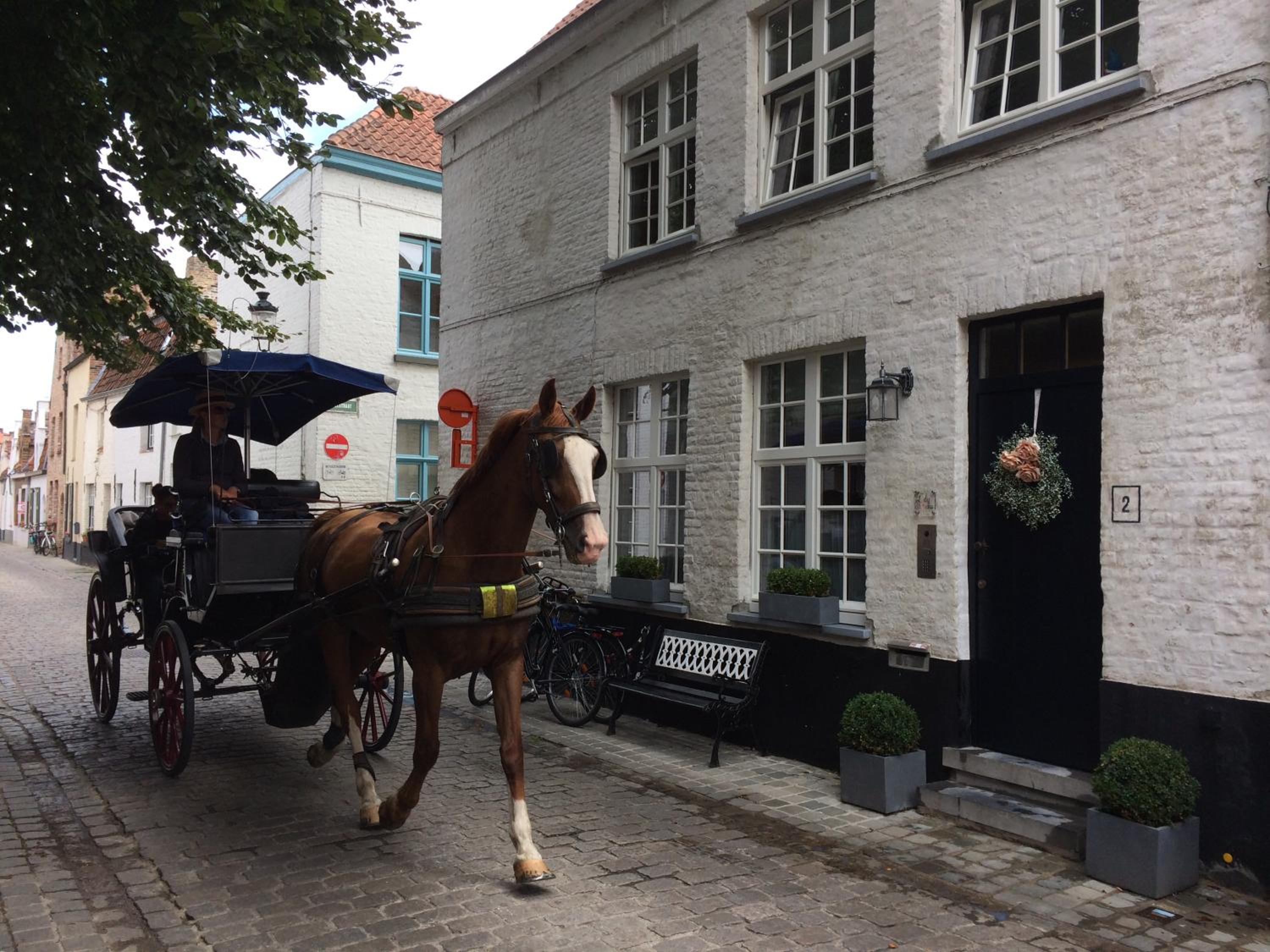 Comfort Equipped Guestsuite Lady Anna Bruges