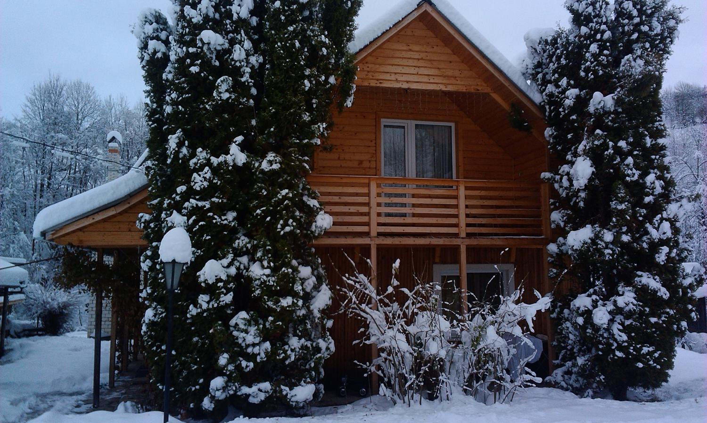 Photo 16