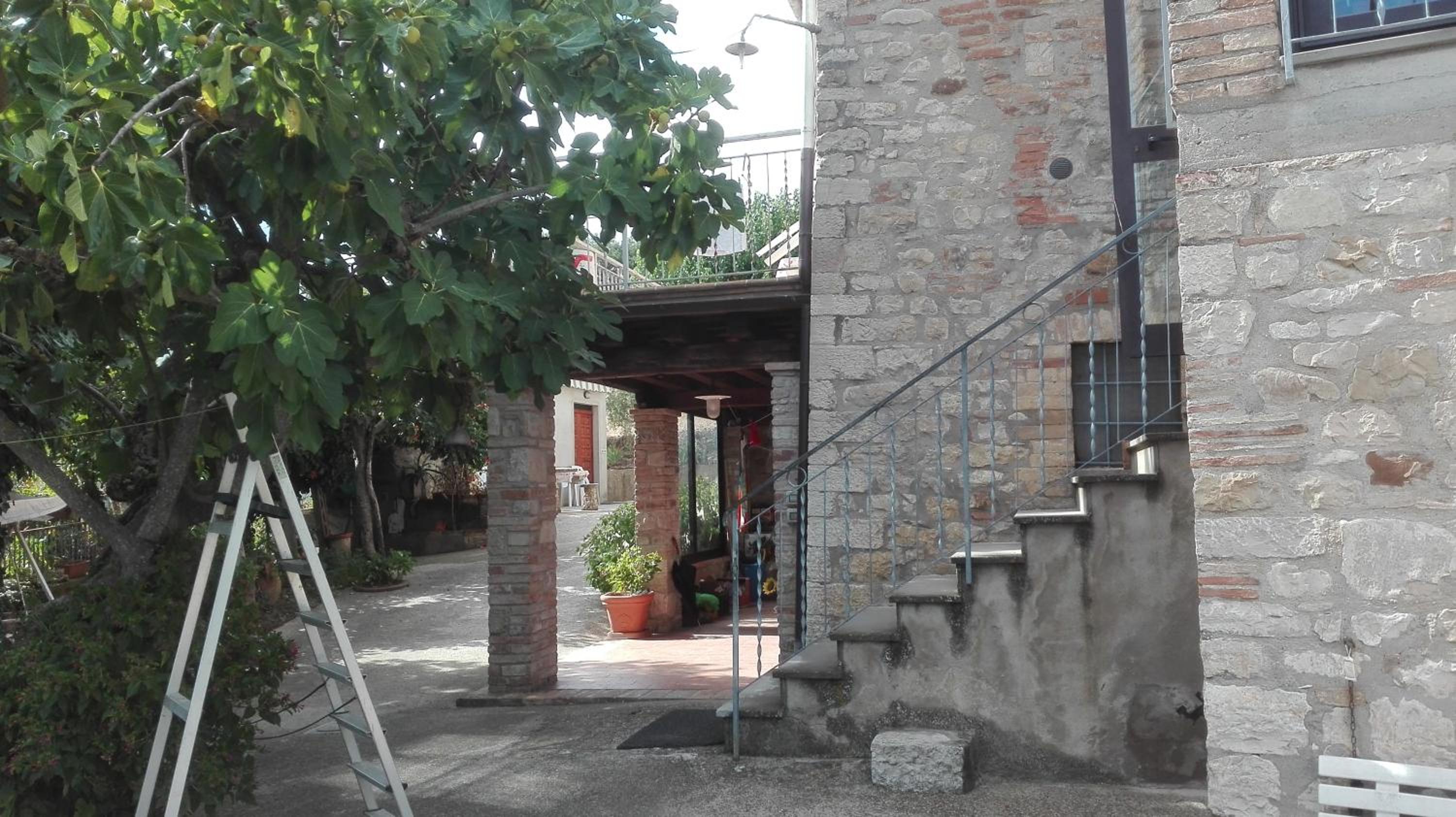Photo 29