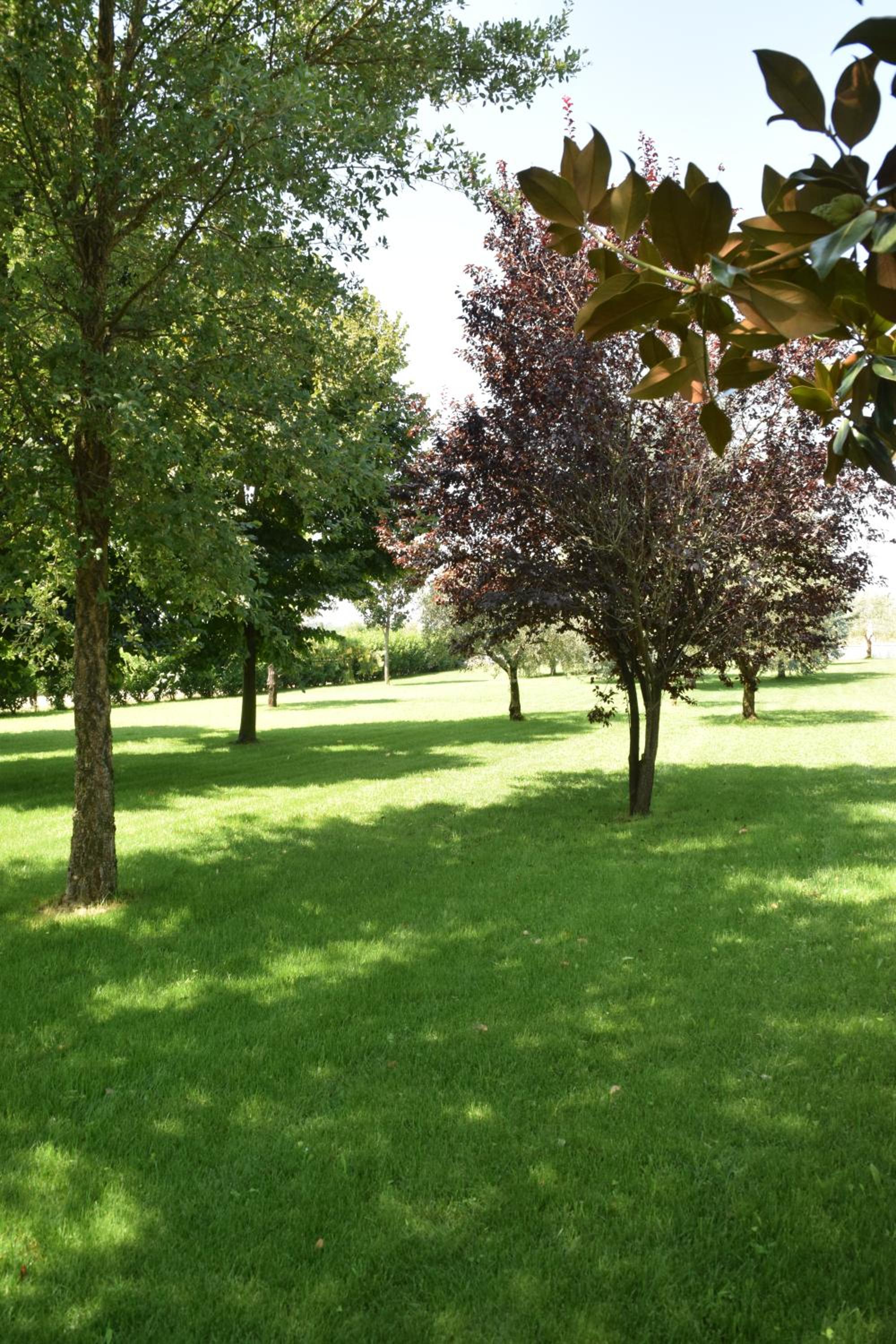 Photo 32