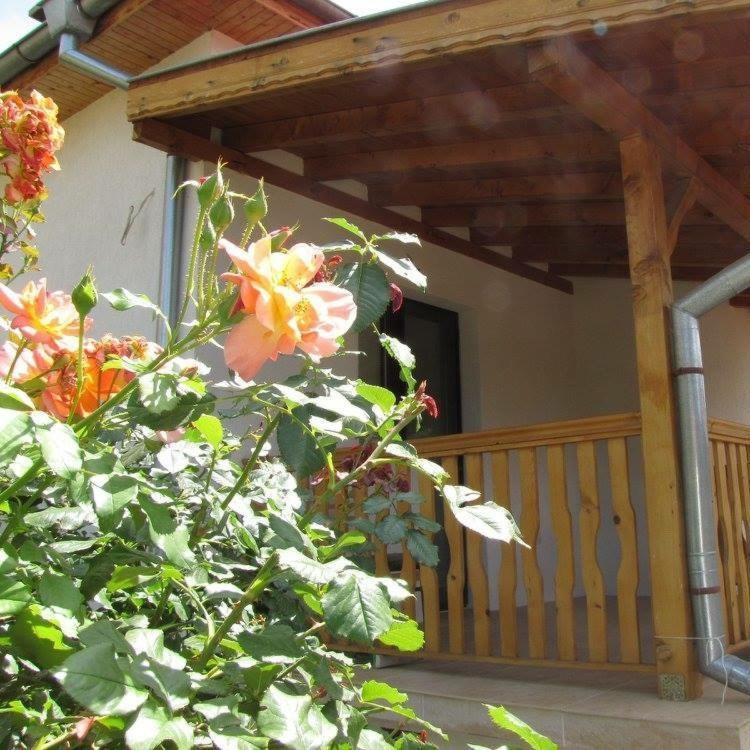 Guest House Vergie, Fully Private