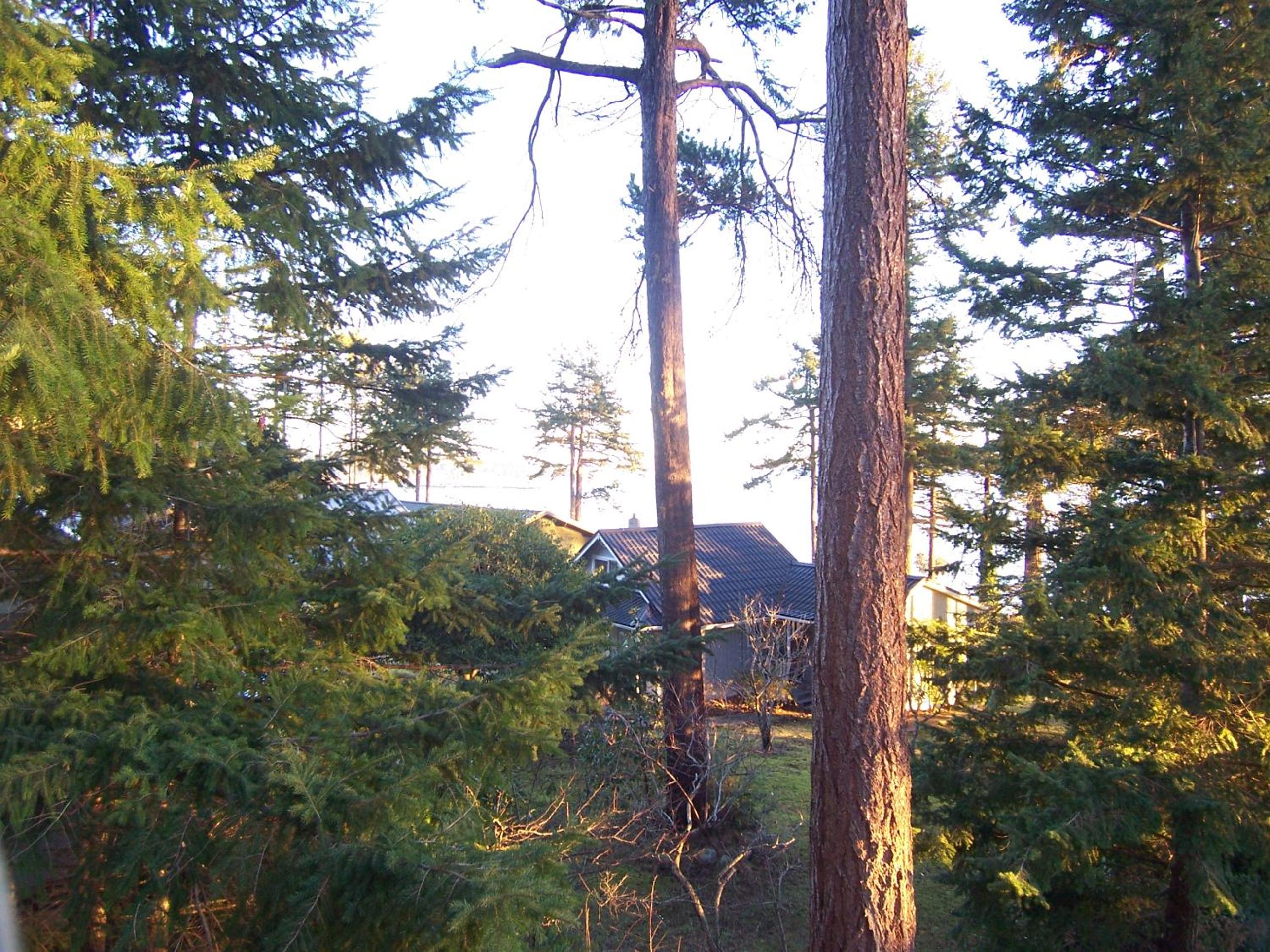 Malaspina Strait Cottage