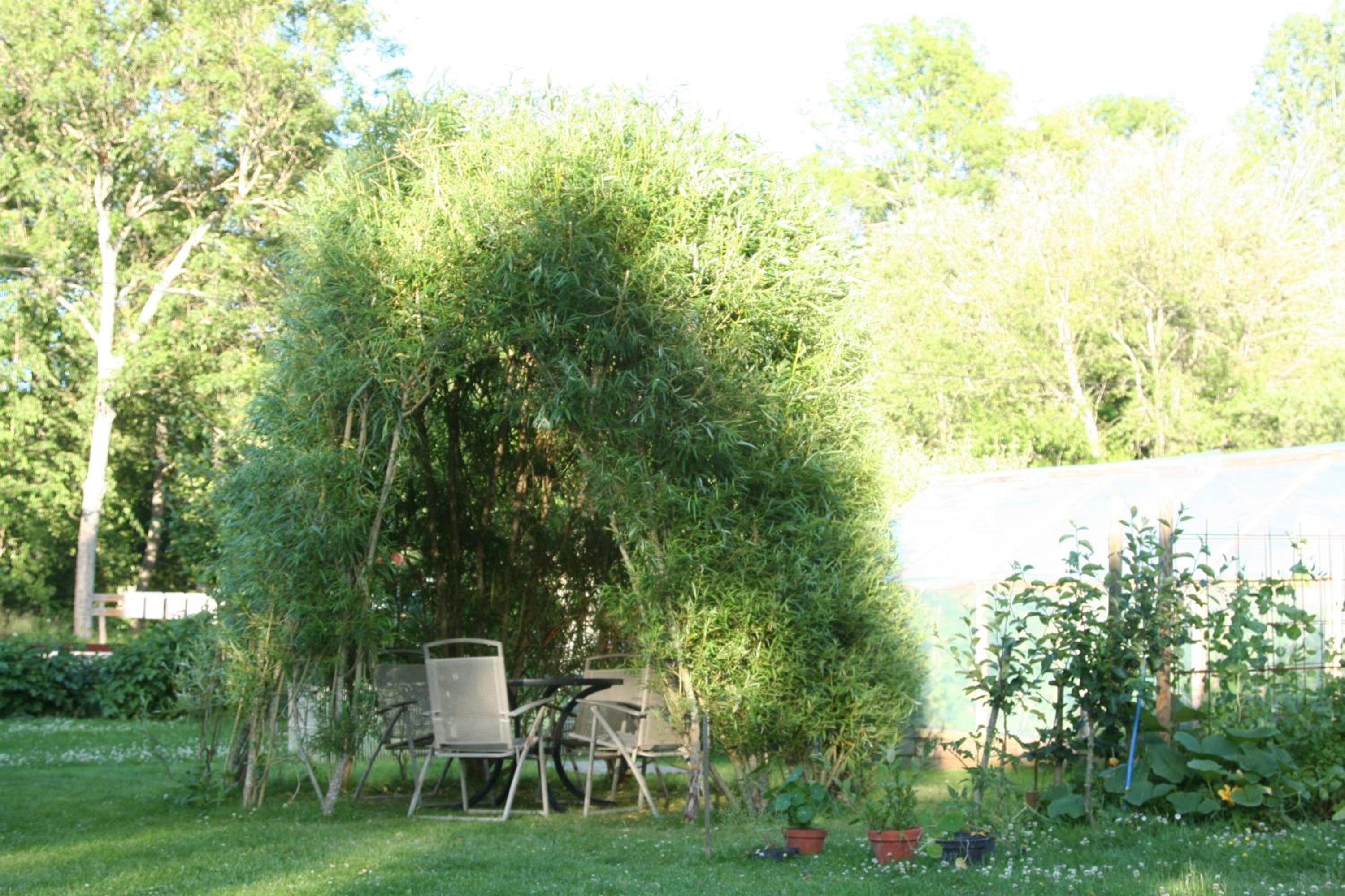 Bed & Breakfast Björkhyddan
