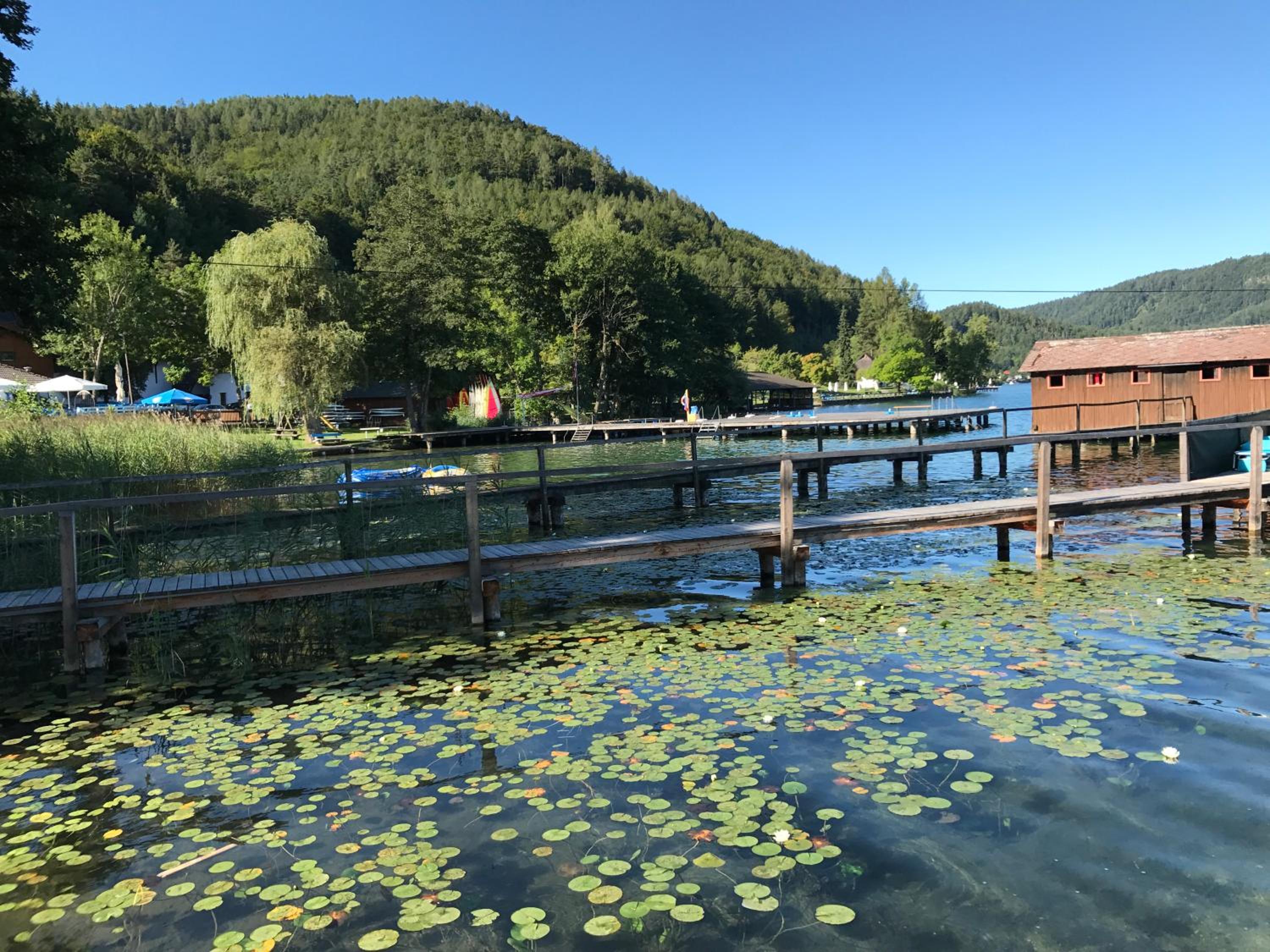 Apartementhaus Helene am Klopeinersee