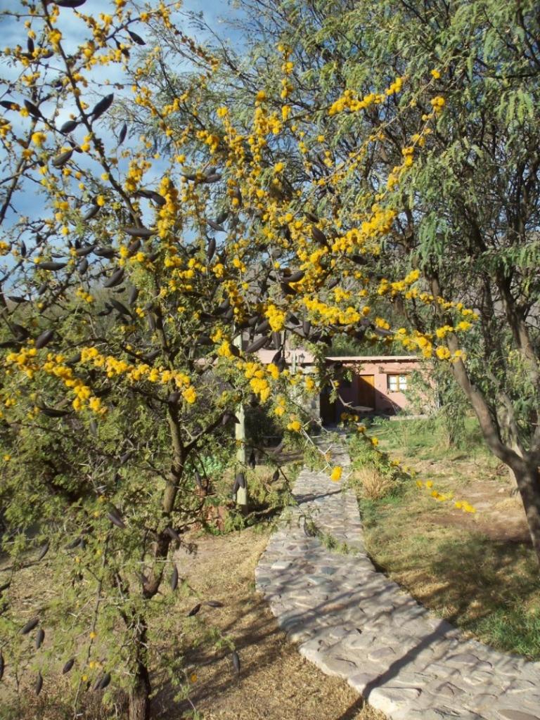 Hosteria La Morada