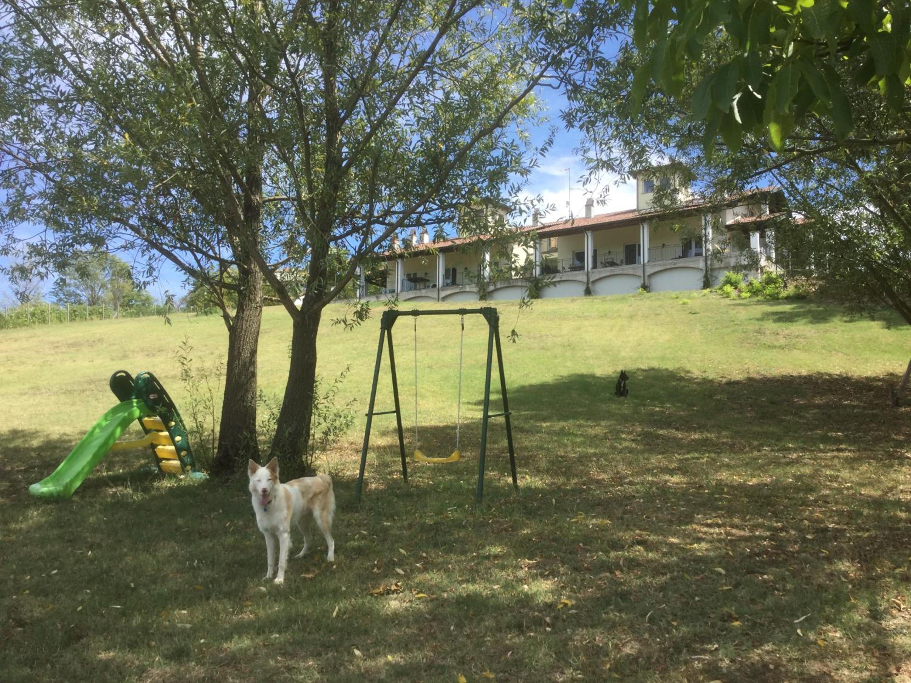 Photo 21
