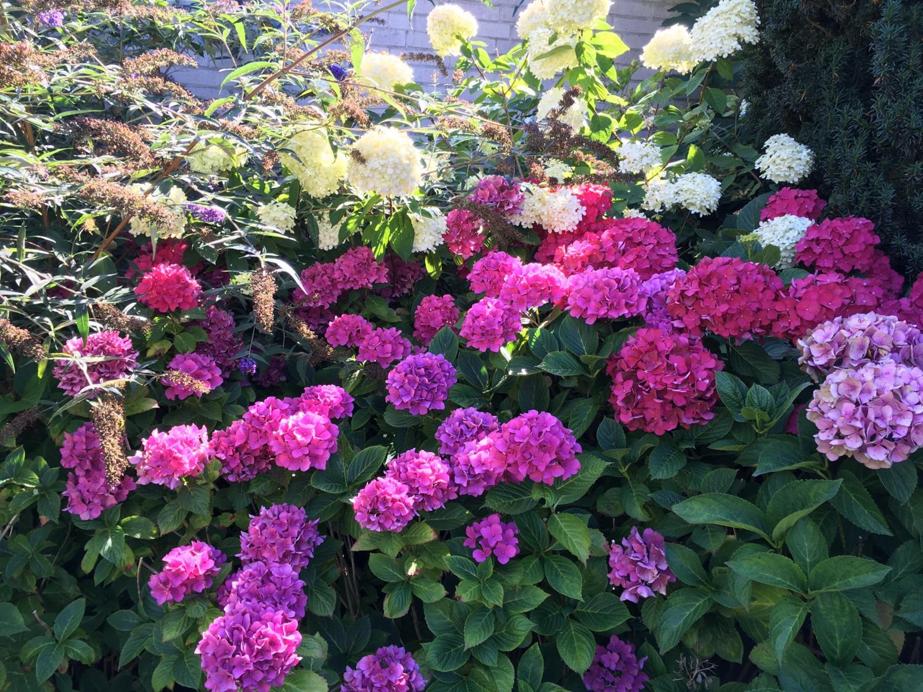Photo 19