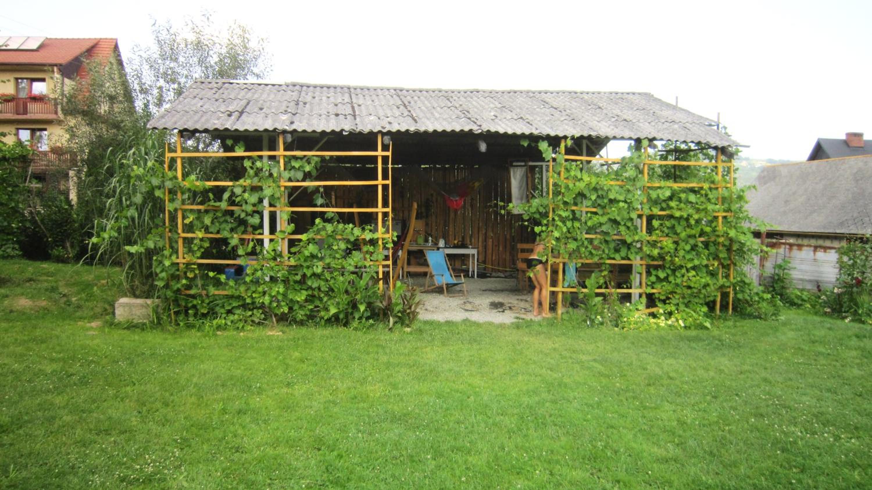 Photo 42