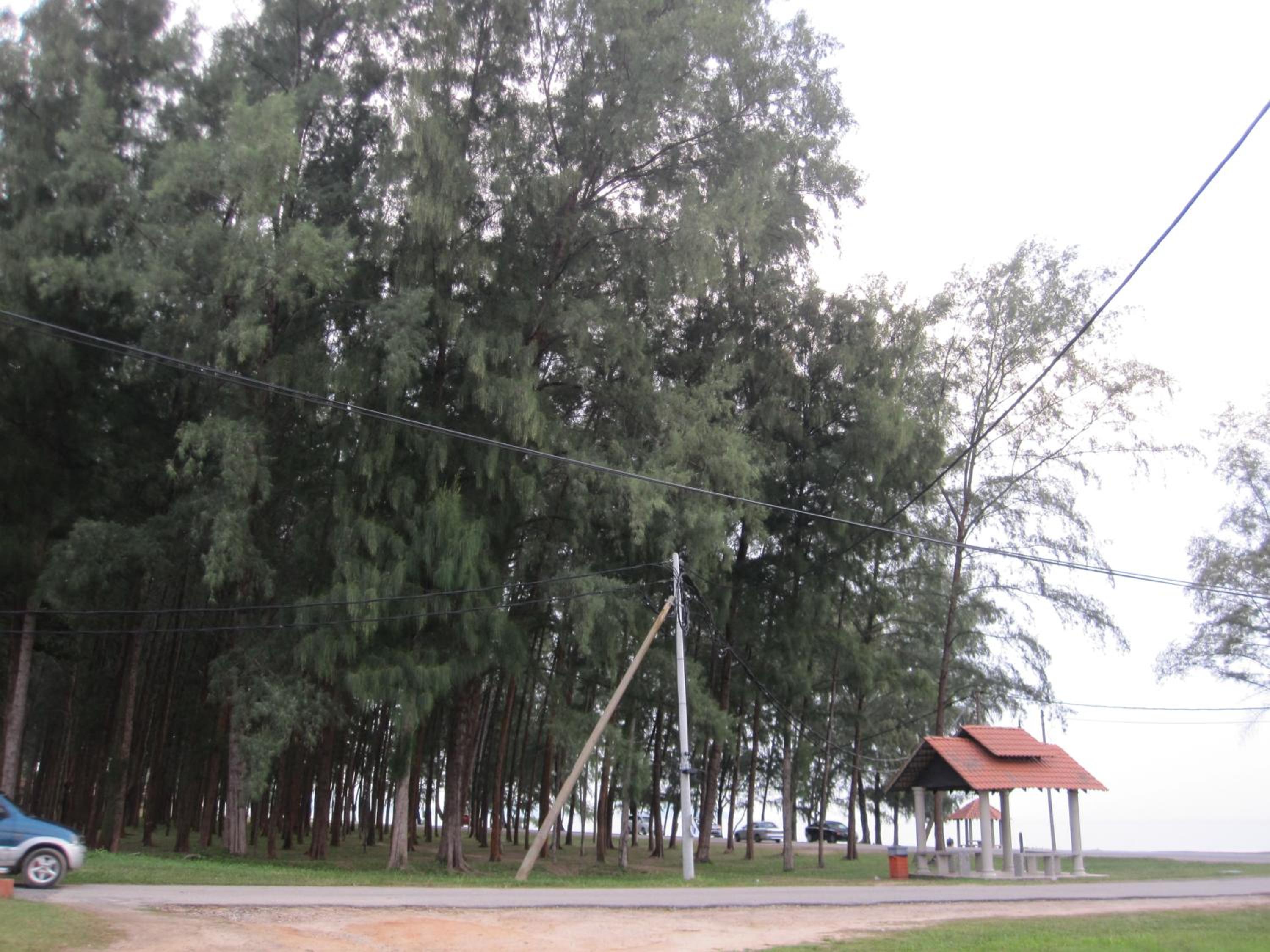 Al-Kahfi Homestay photo 5