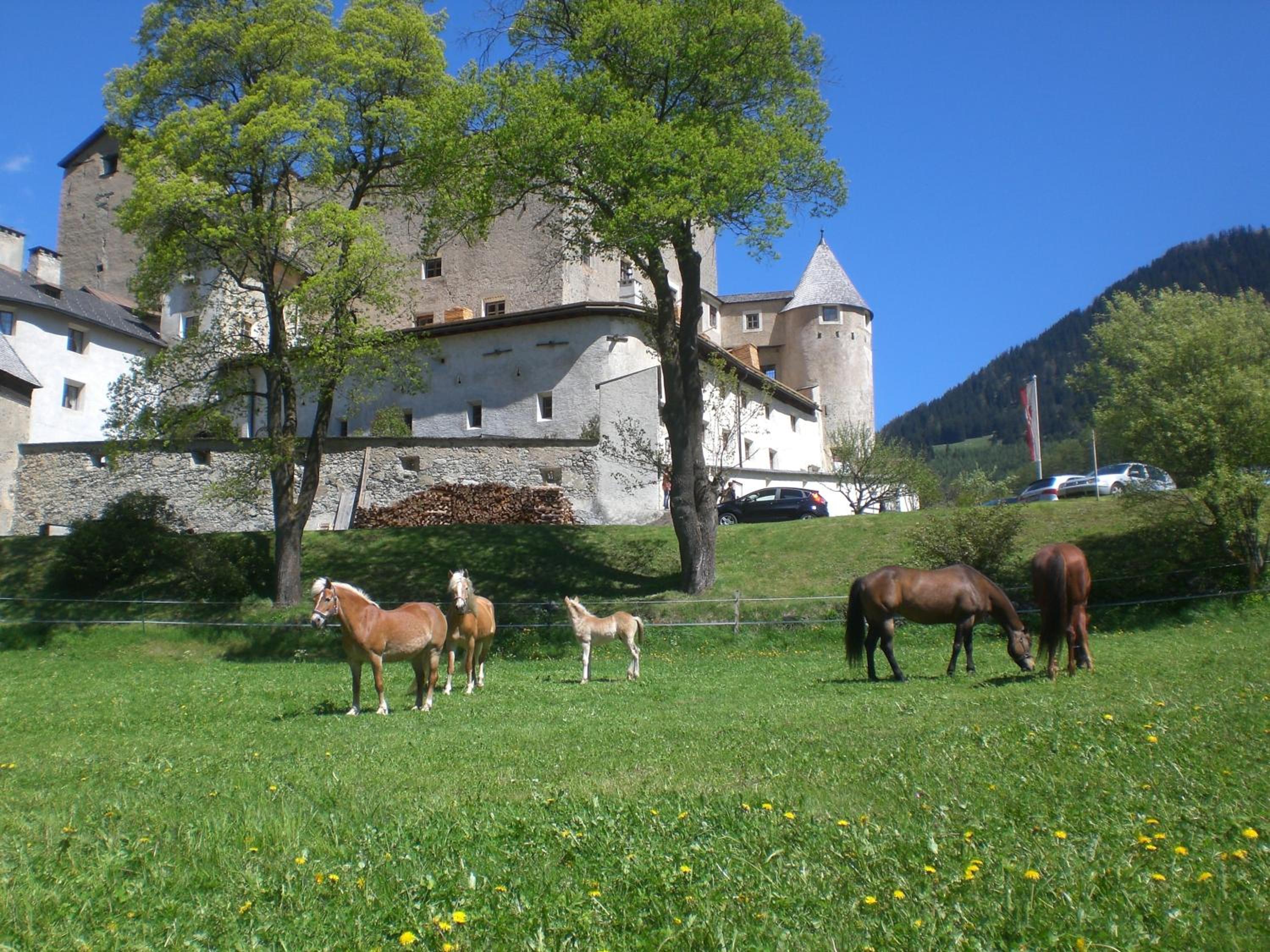 Photo 24