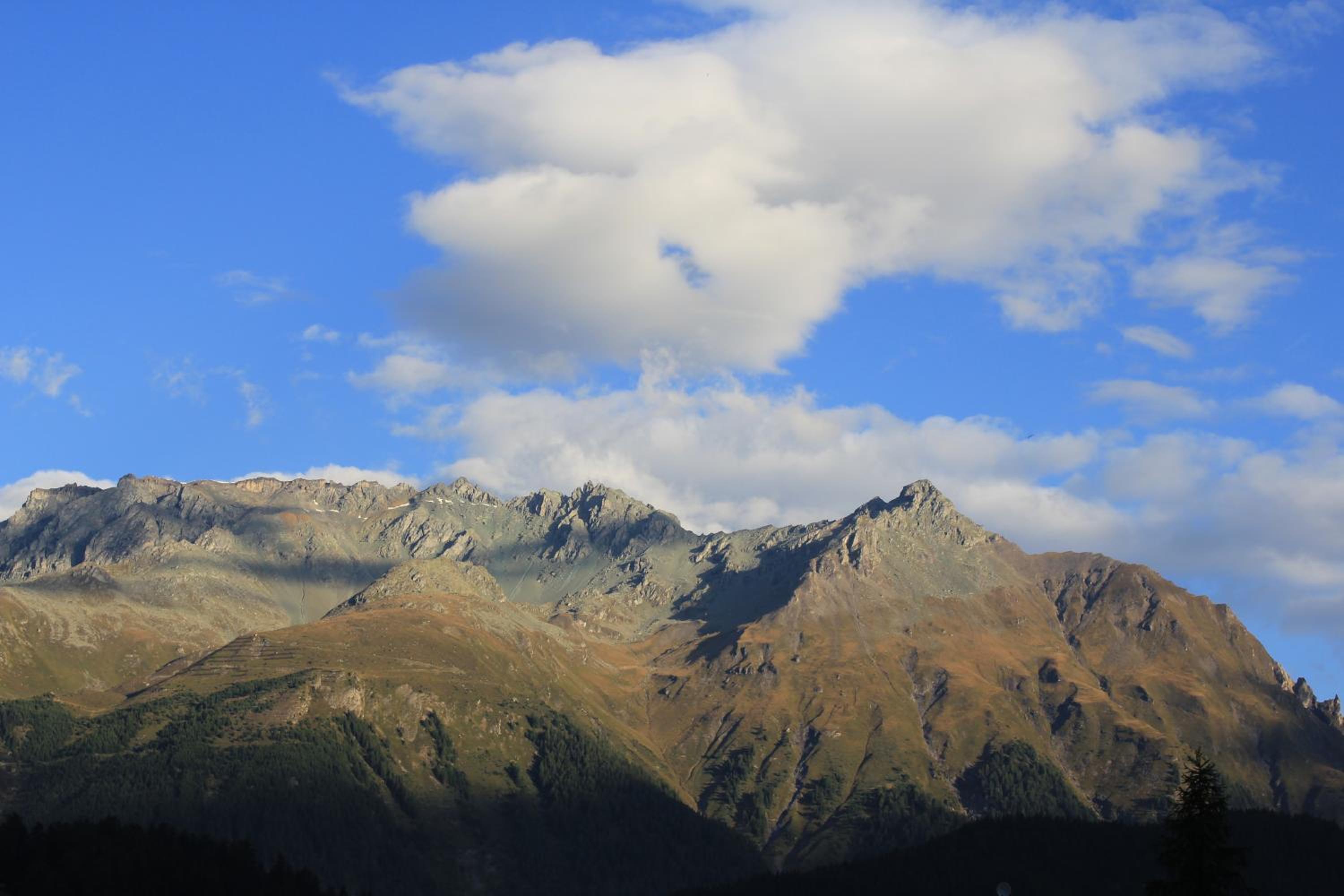 Photo 25