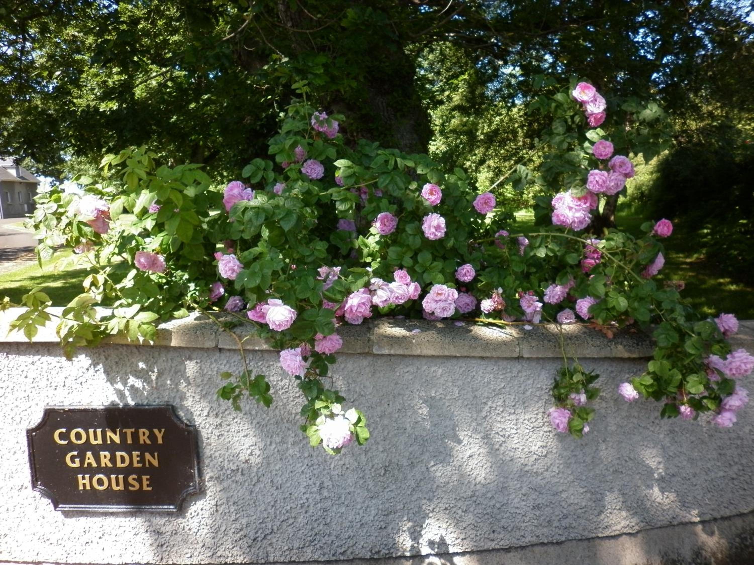 Country Garden House Holiday Homes view 4