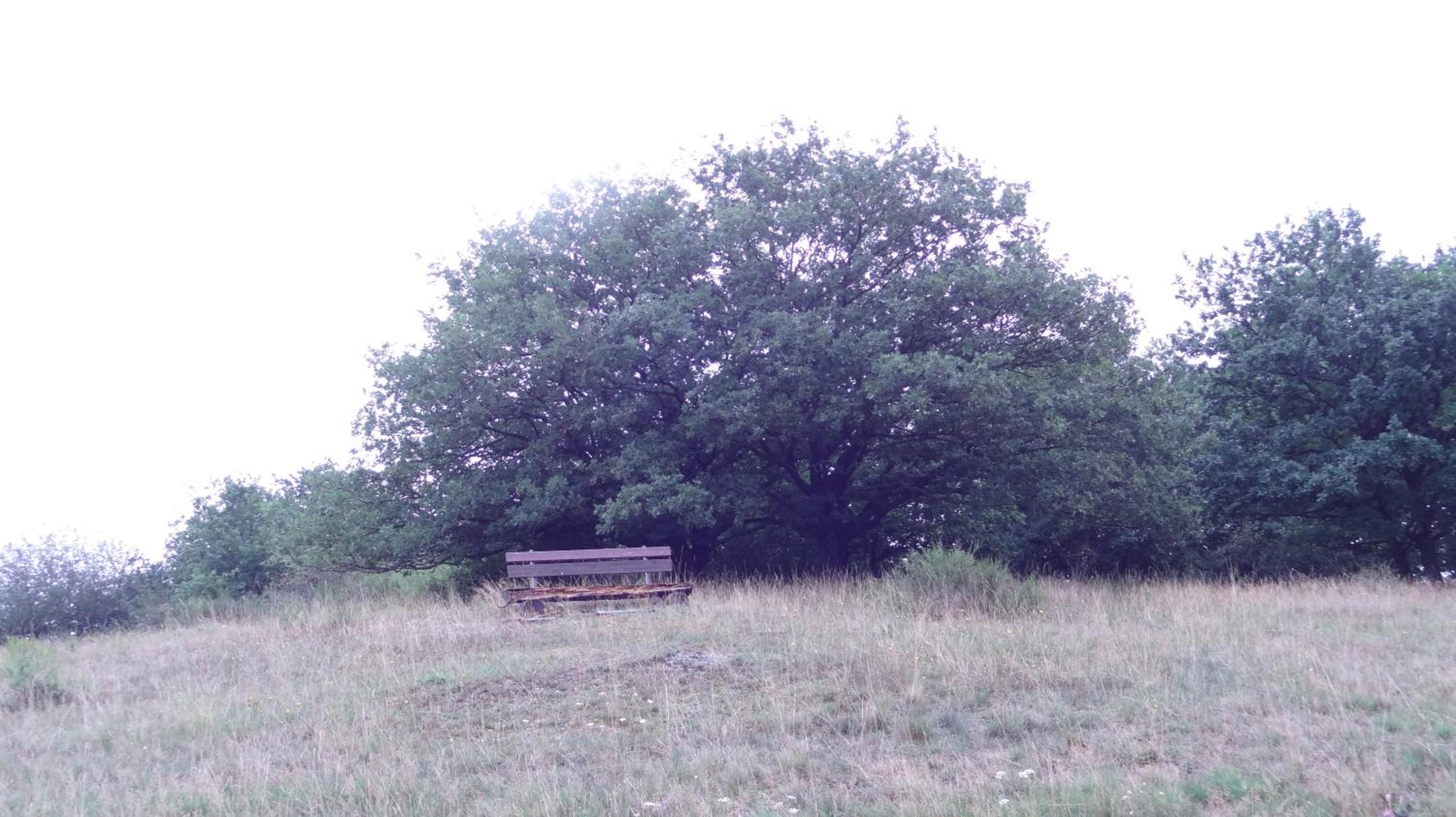 Photo 30