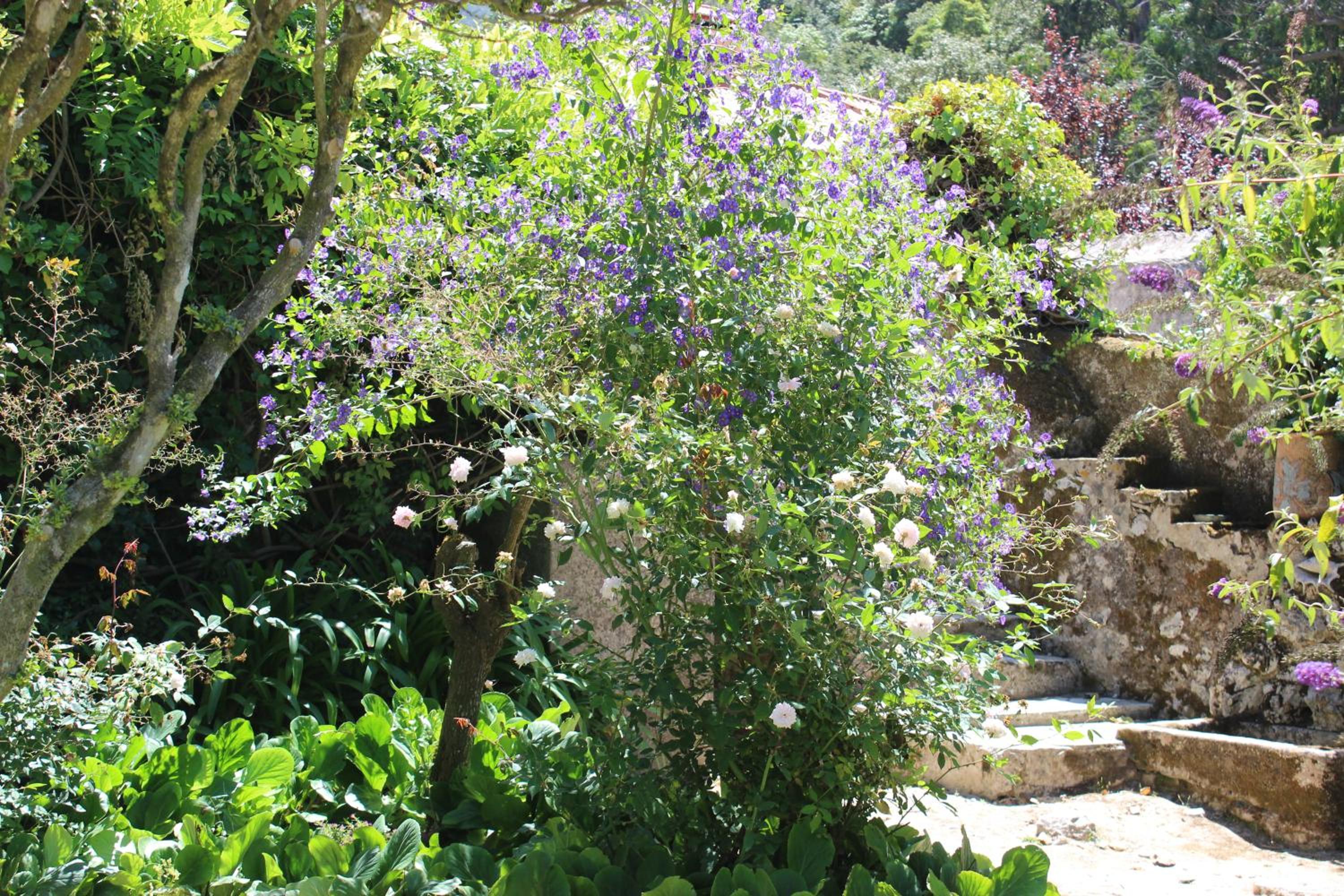Quinta de Sao Tadeu