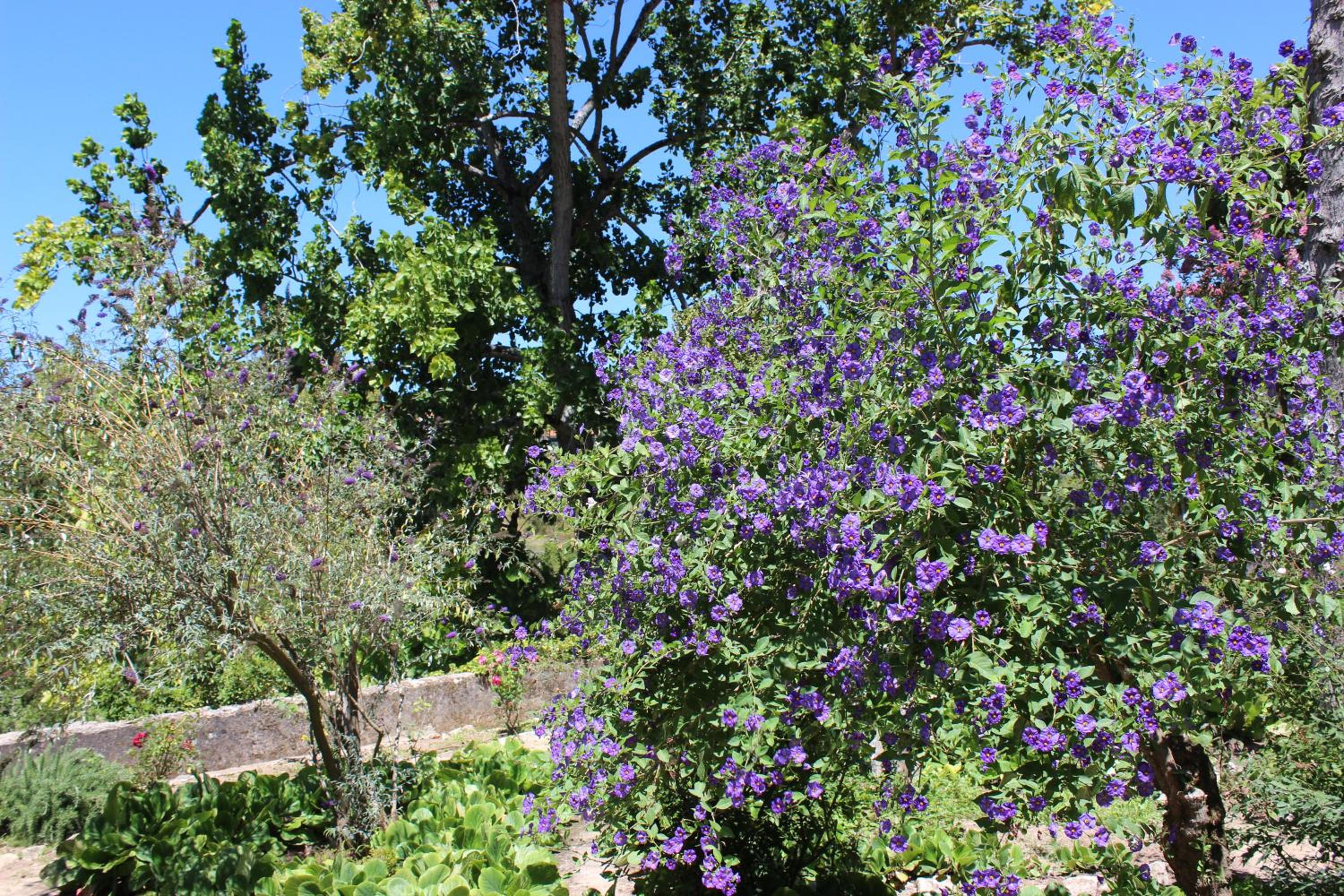 Quinta de Sao Tadeu