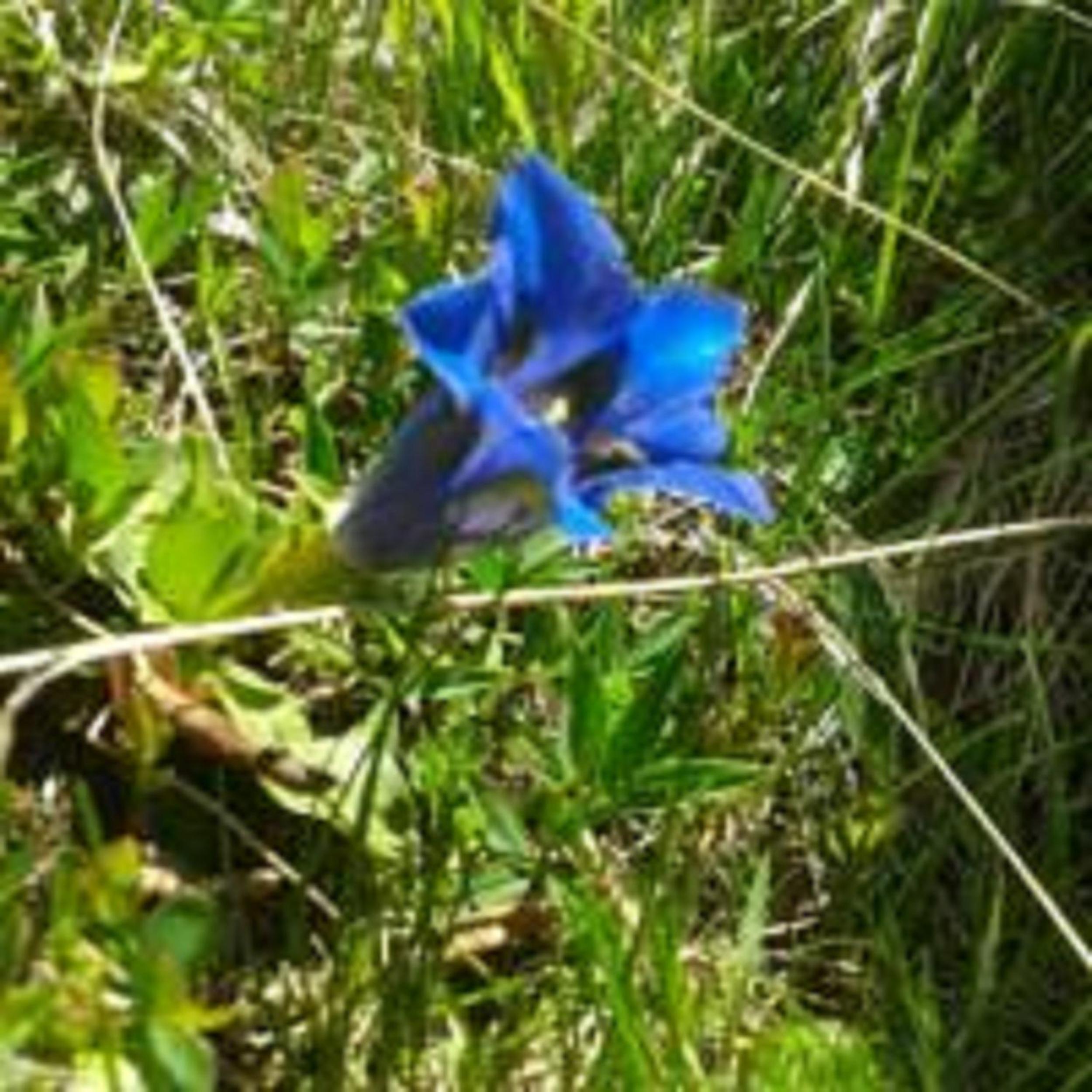 Photo 30