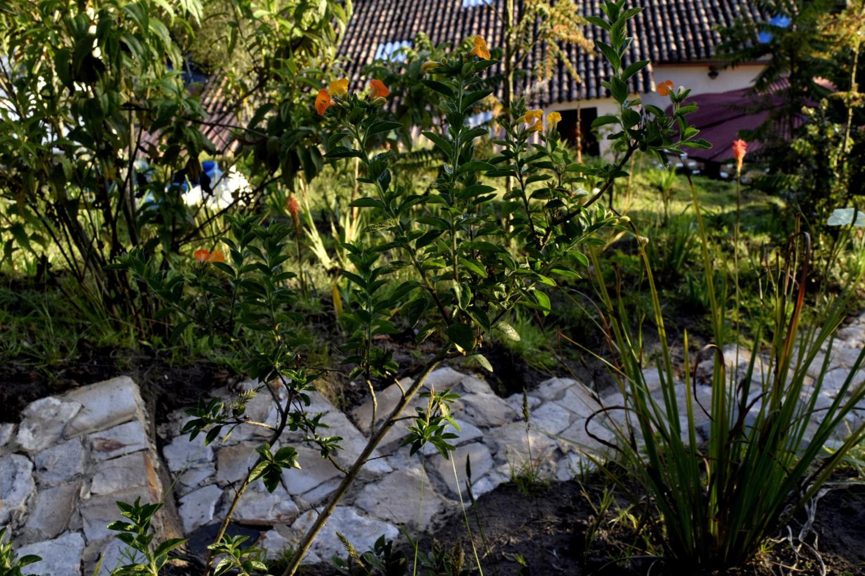 El Pedregal Sopó