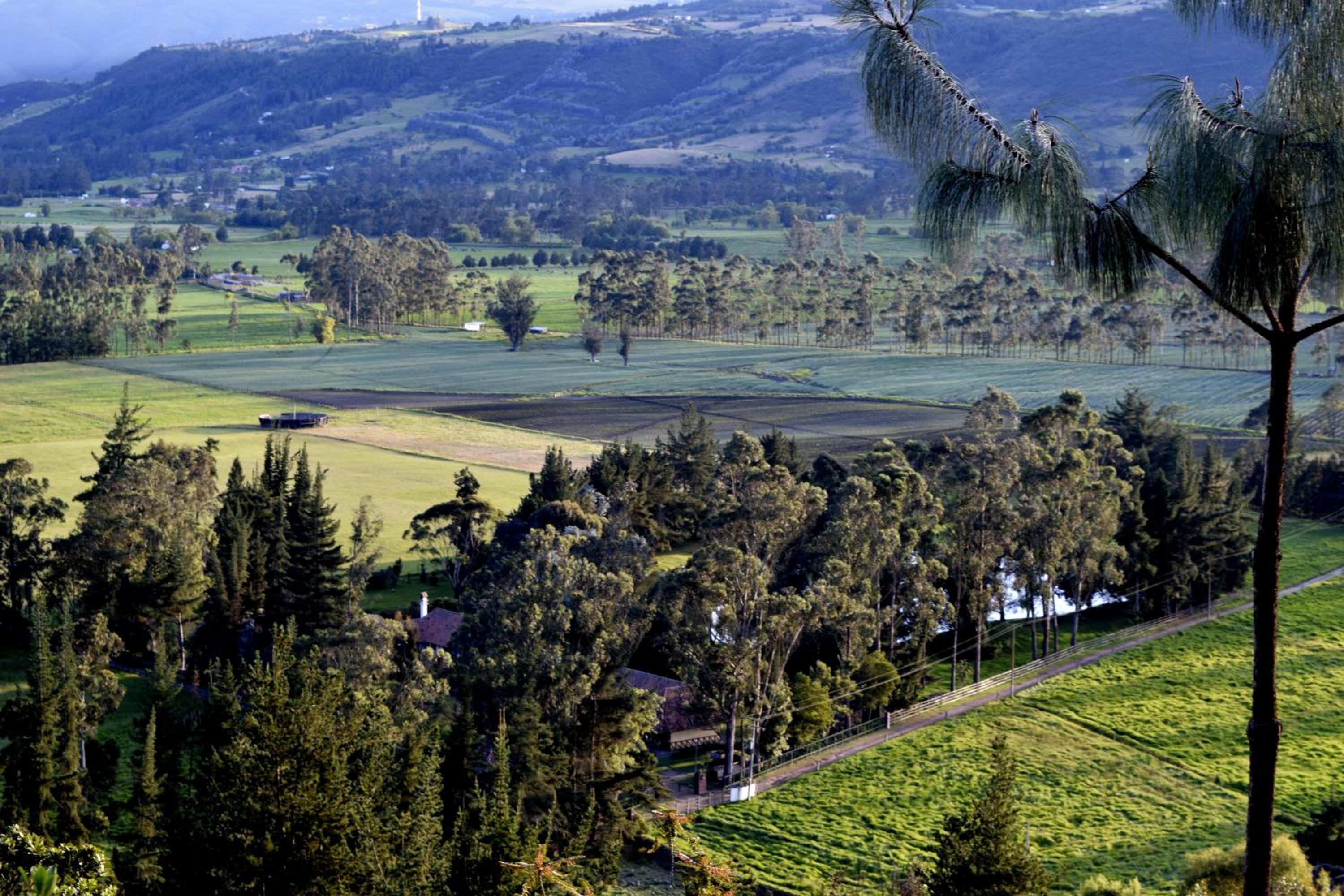 El Pedregal Sopó
